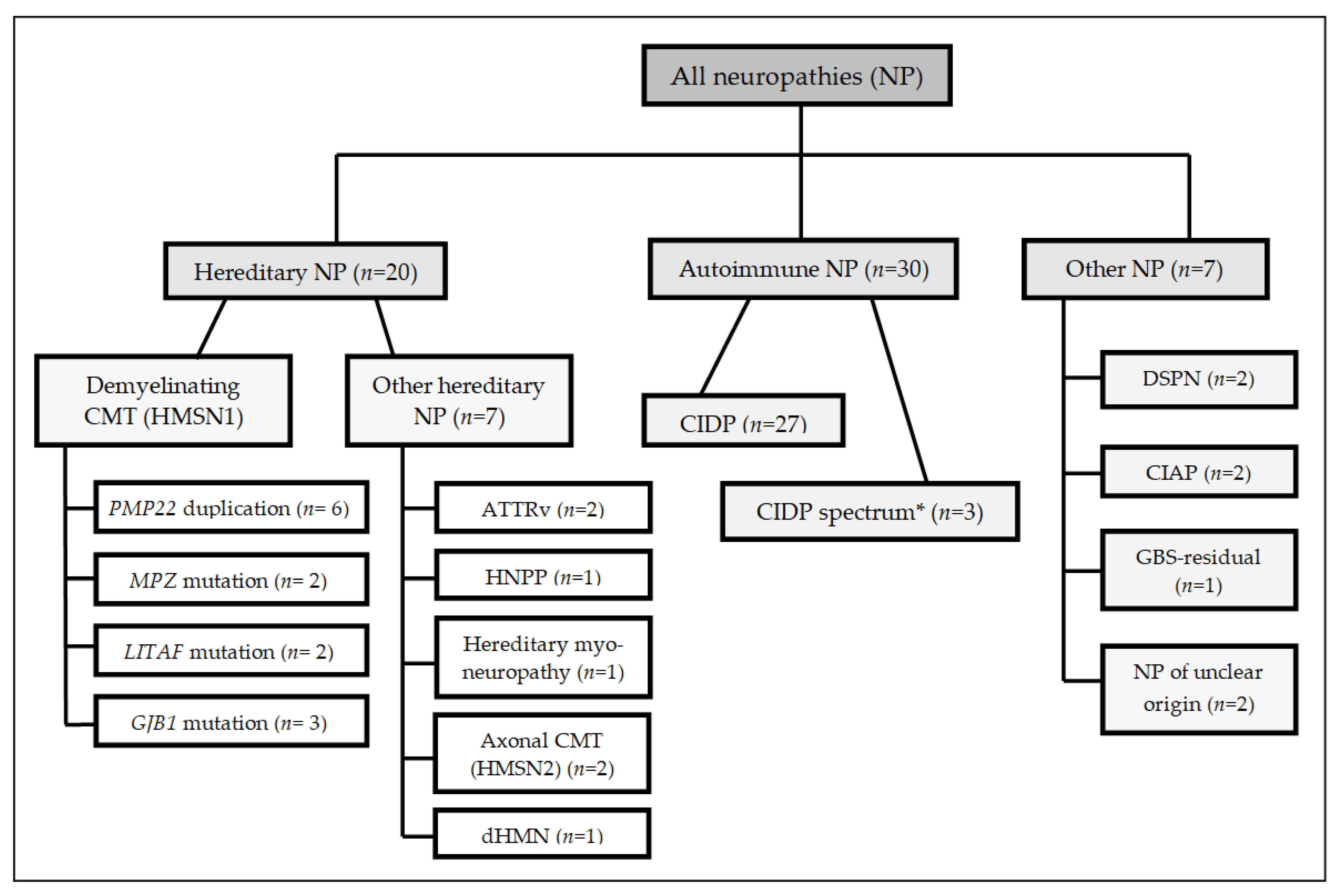 Brainsci 11 00202 g001