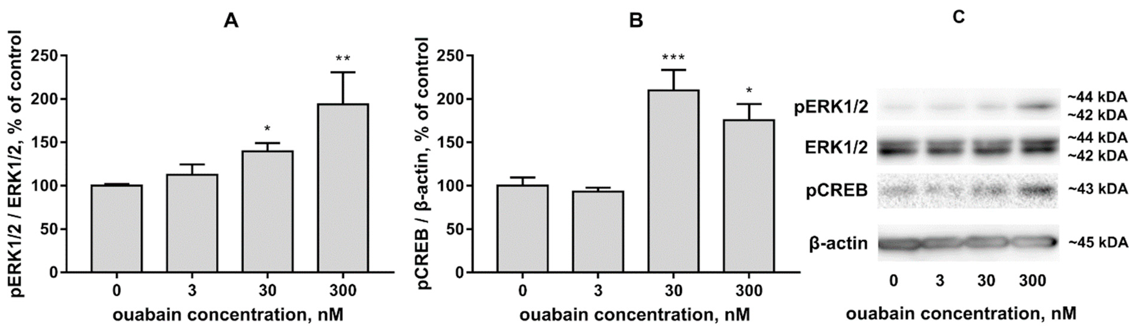 Brainsci 11 00203 g003 Brainsci 11 00203 g003