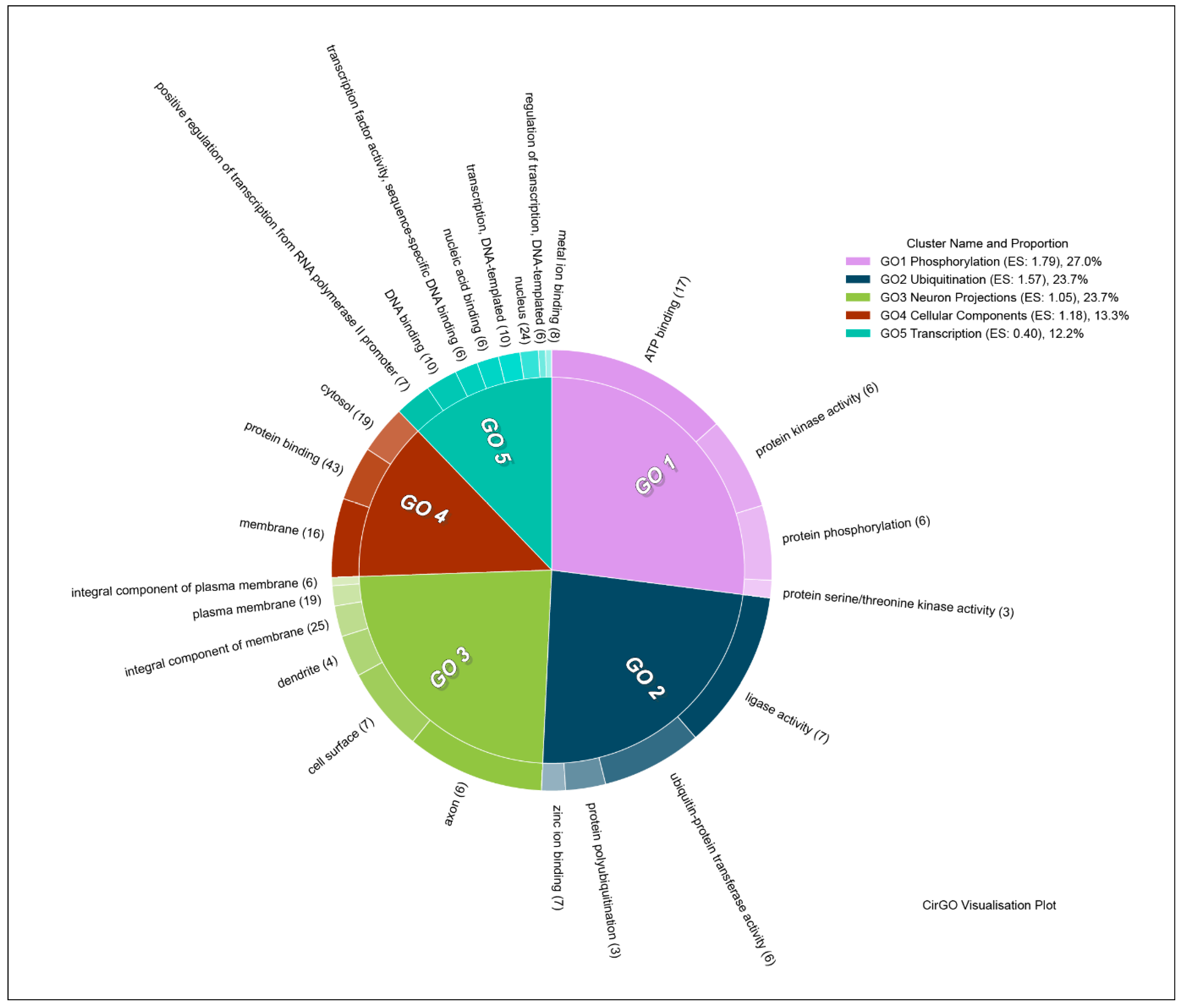 Brainsci 11 00203 g008 Brainsci 11 00203 g008