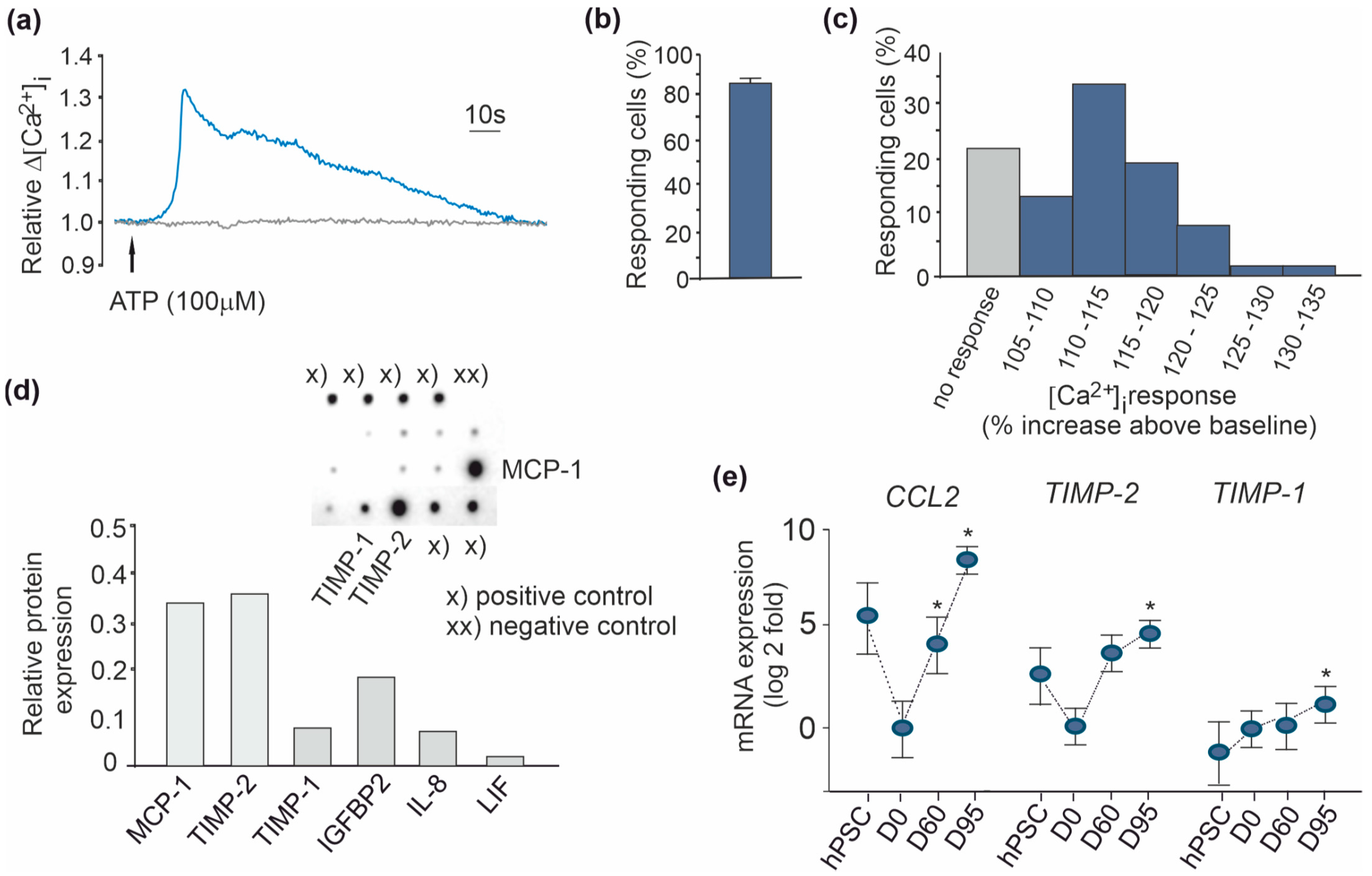 Brainsci 11 00209 g005 Brainsci 11 00209 g005