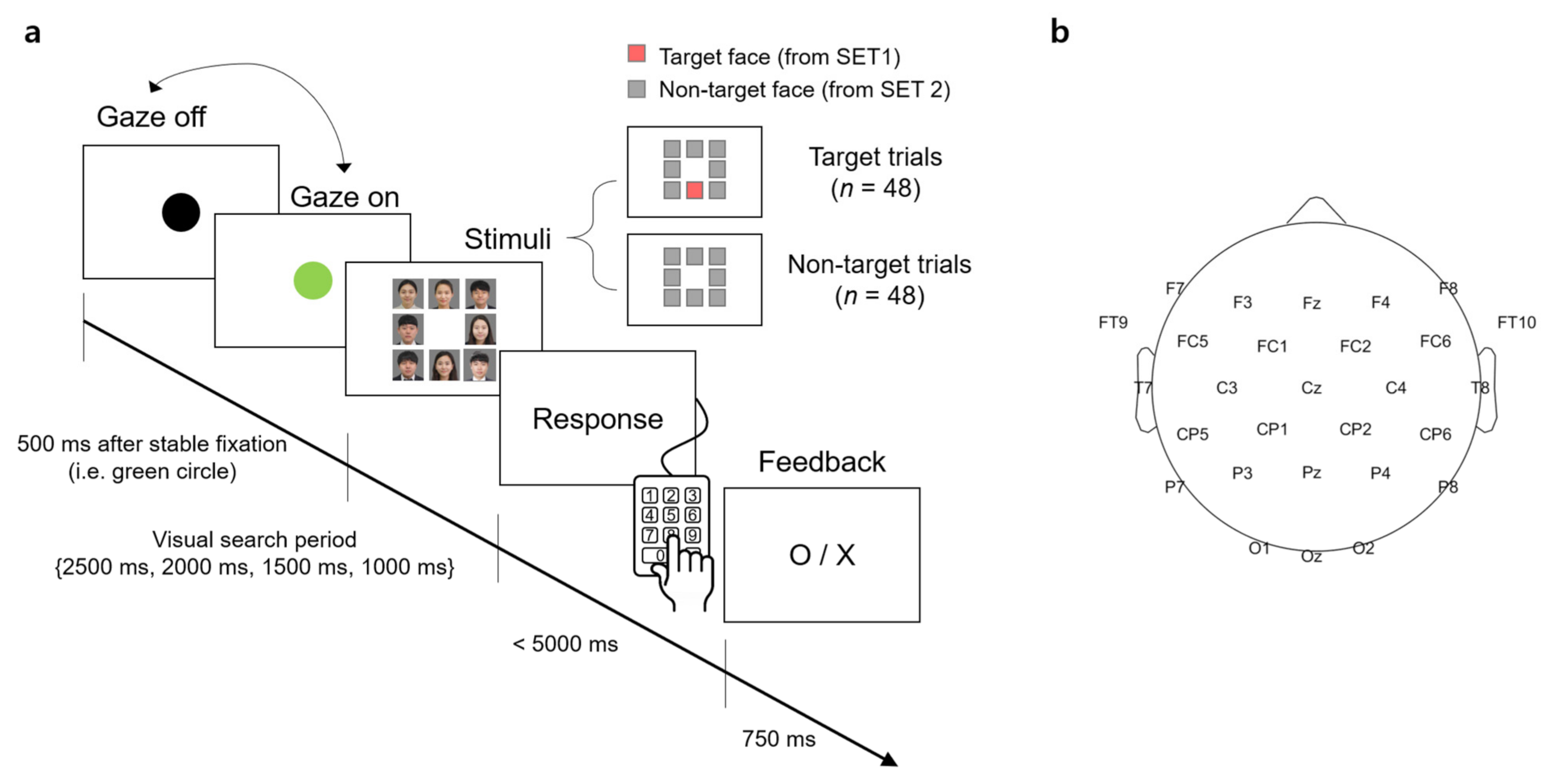 Brainsci 11 00218 g001