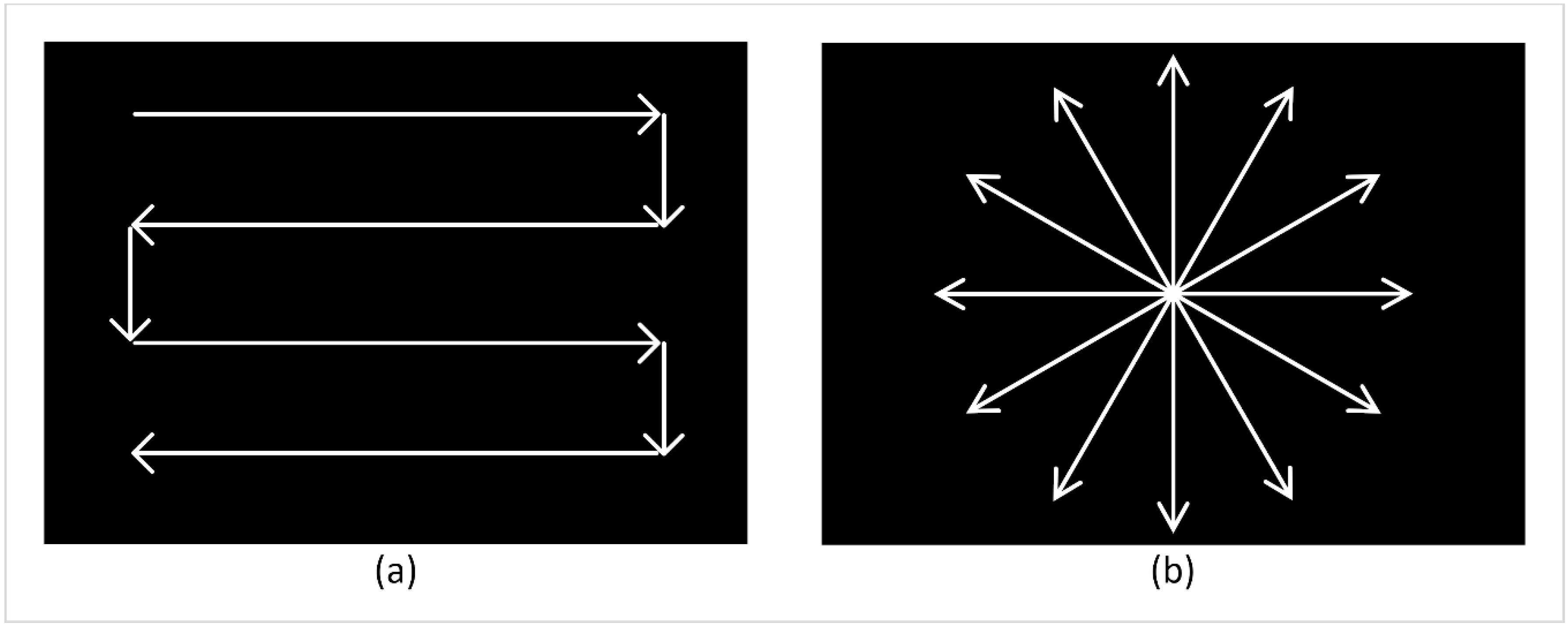 Brainsci 11 00223 g001