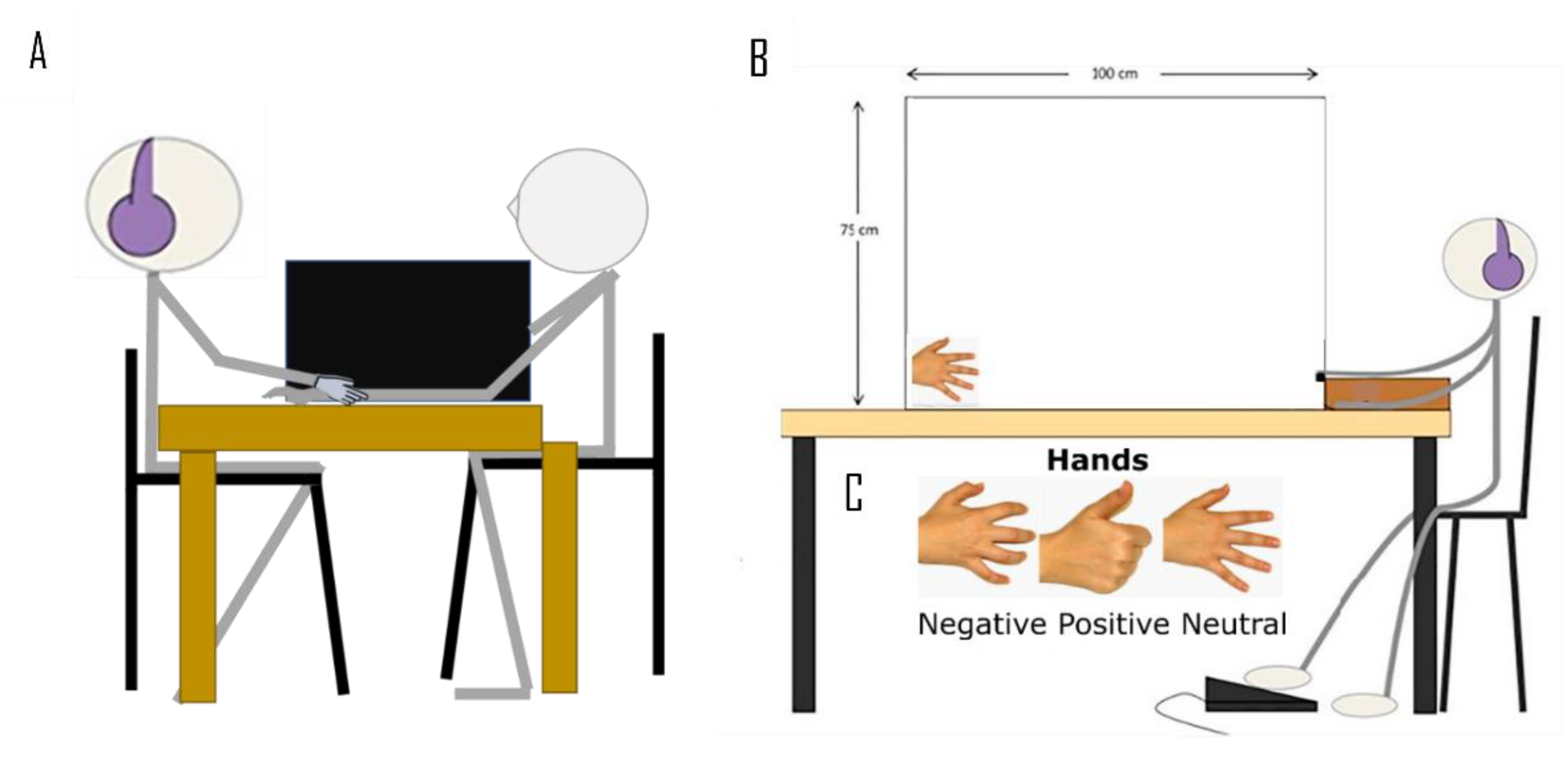 Brainsci 11 00225 g001 Brainsci 11 00225 g001