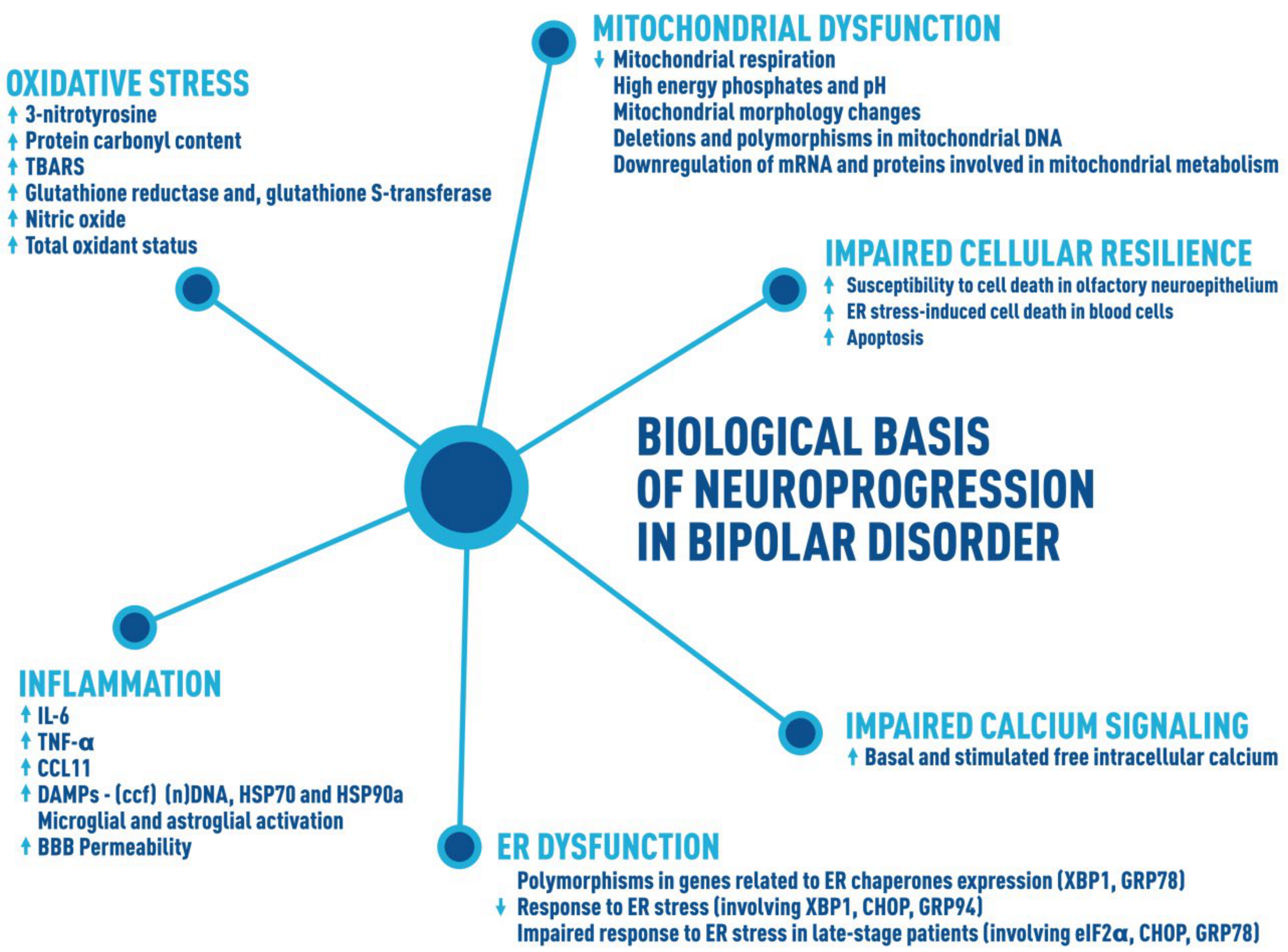 Brainsci 11 00228 g002 Brainsci 11 00228 g002