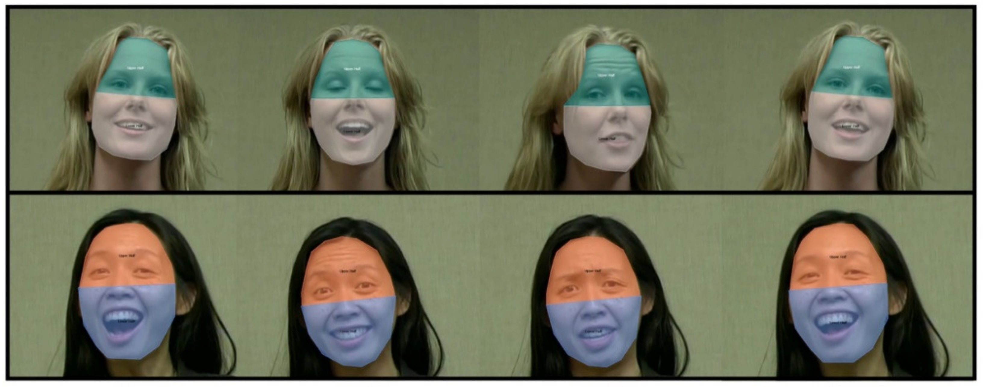 Brainsci 11 00231 g002