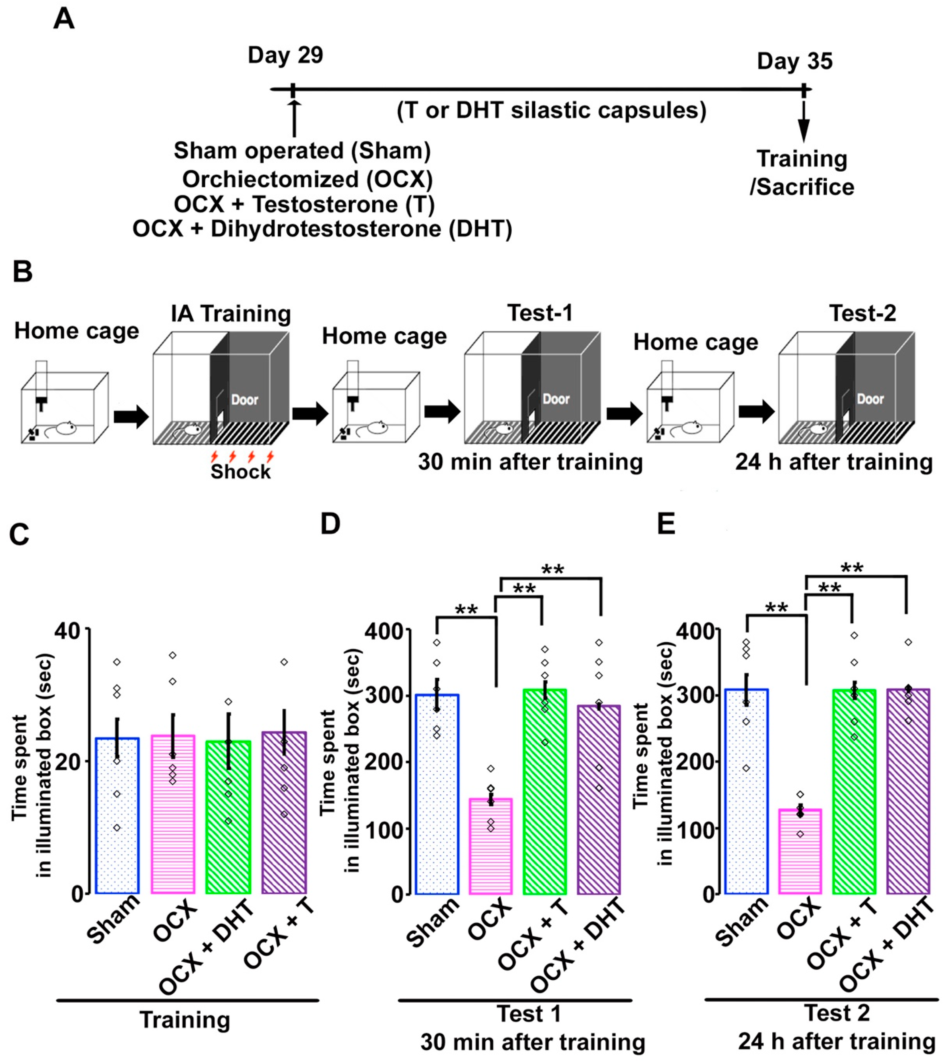 Brainsci 11 00239 g001 Brainsci 11 00239 g001