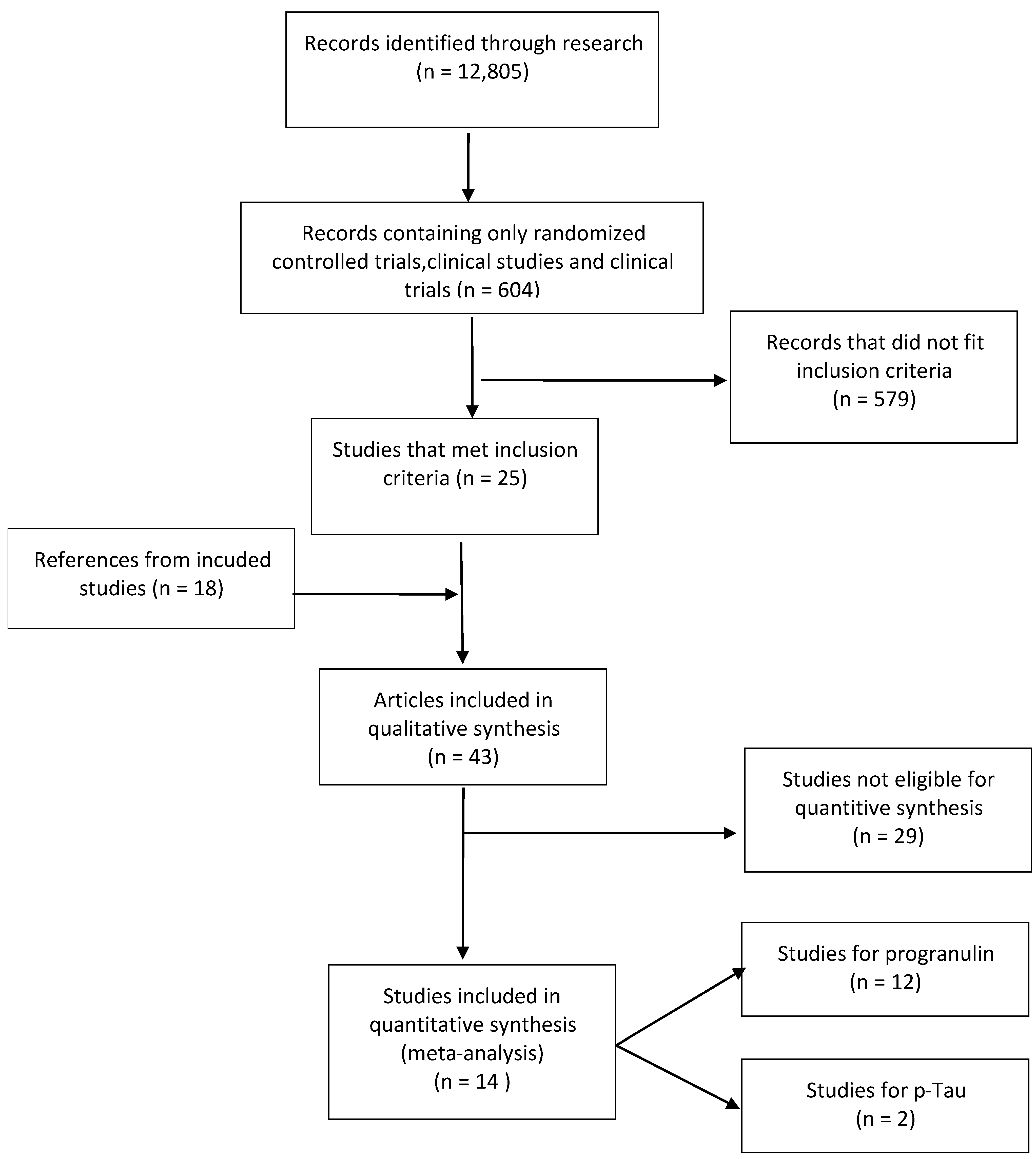 Brainsci 11 00244 g001