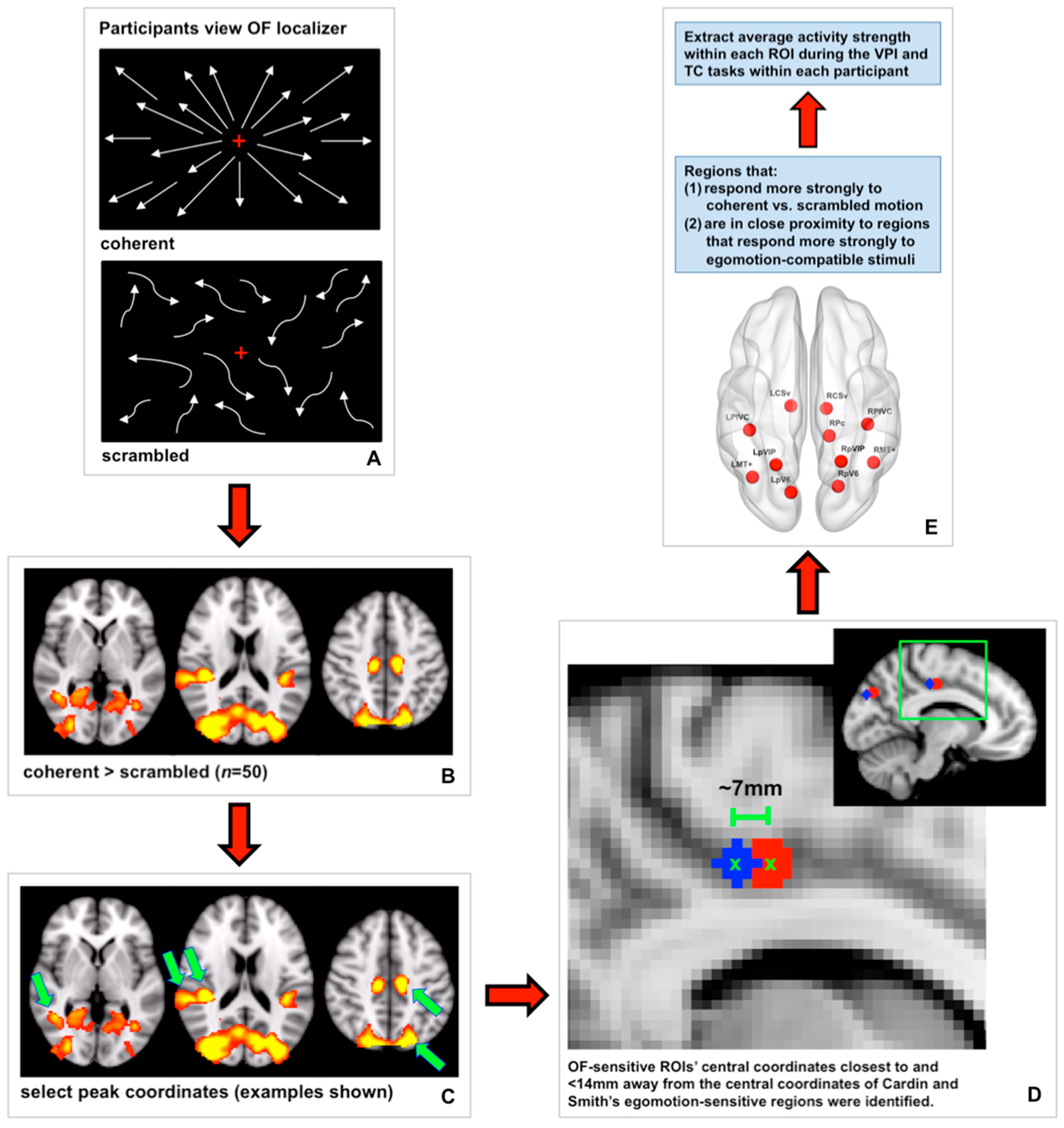 Brainsci 11 00245 g002 Brainsci 11 00245 g002