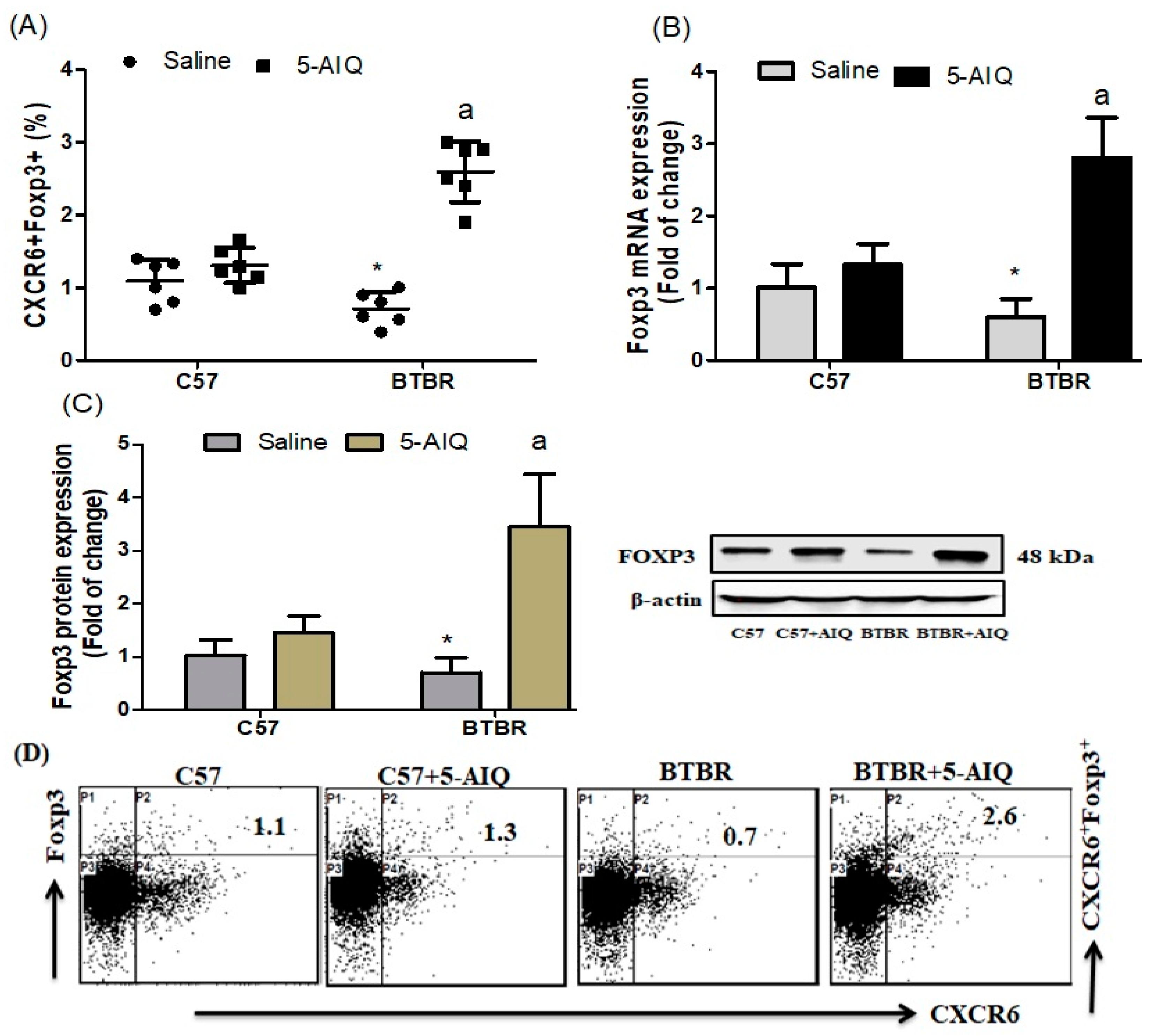Brainsci 11 00249 g001 Brainsci 11 00249 g001