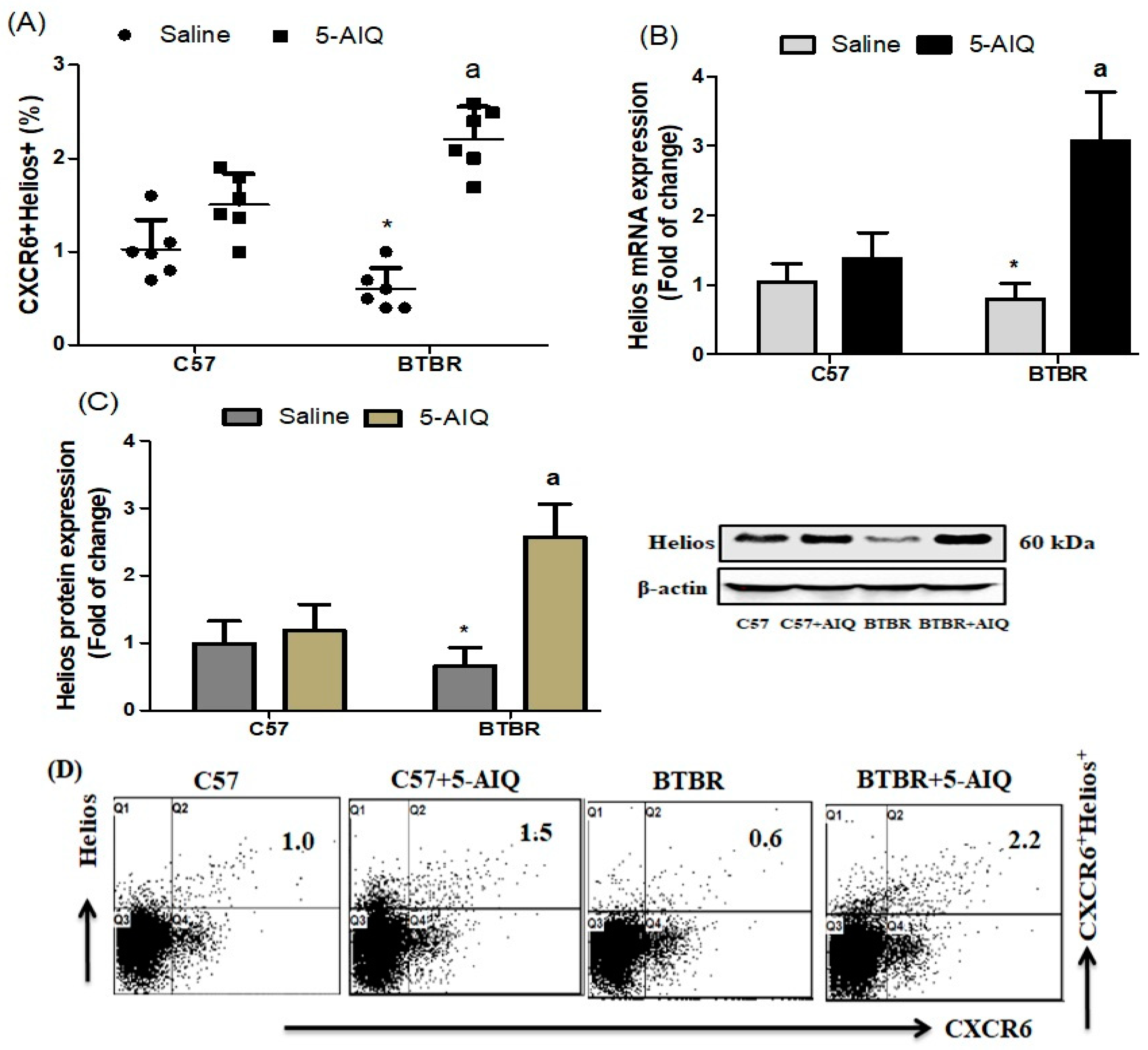 Brainsci 11 00249 g002 Brainsci 11 00249 g002