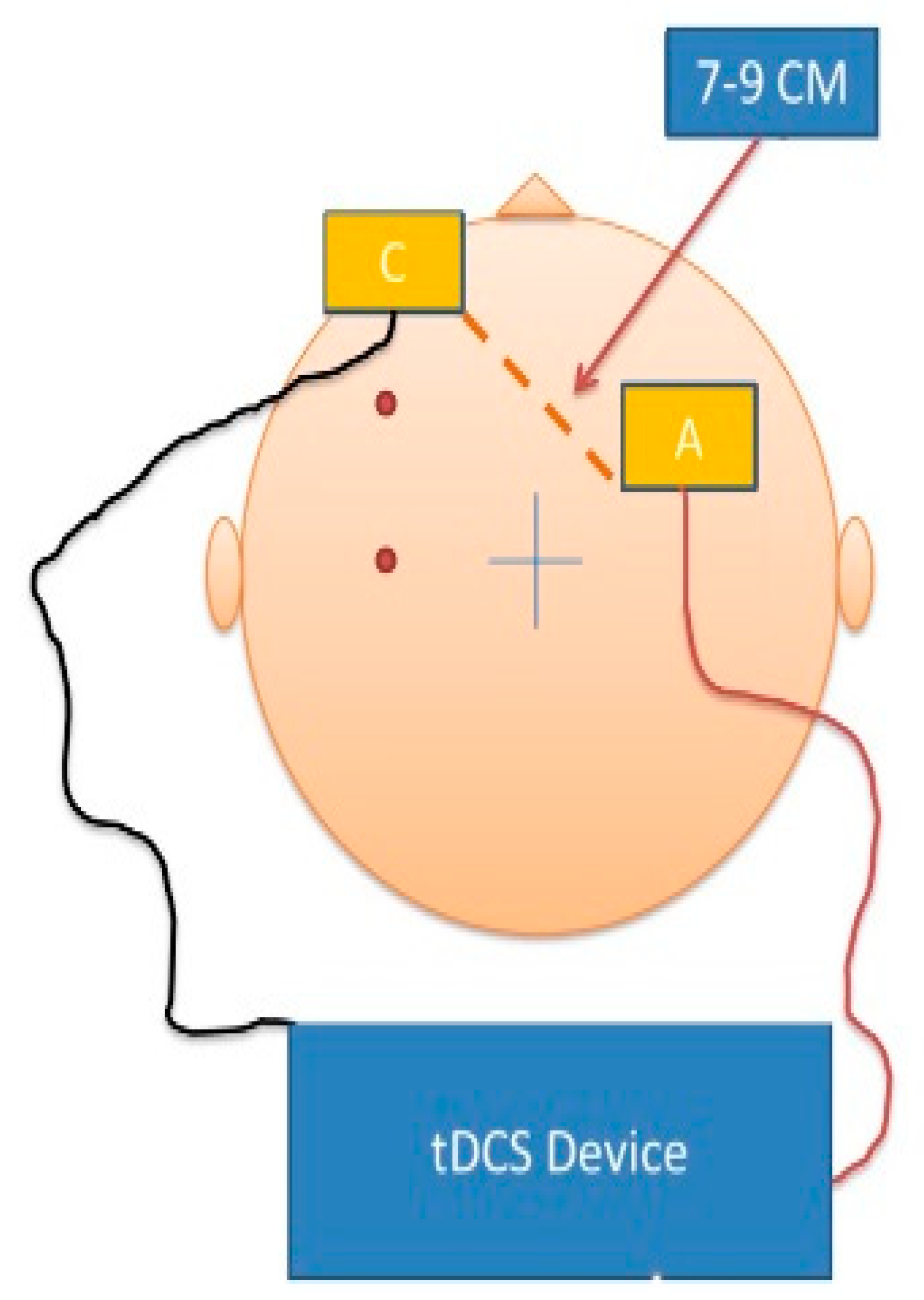 Brainsci 11 00250 g002