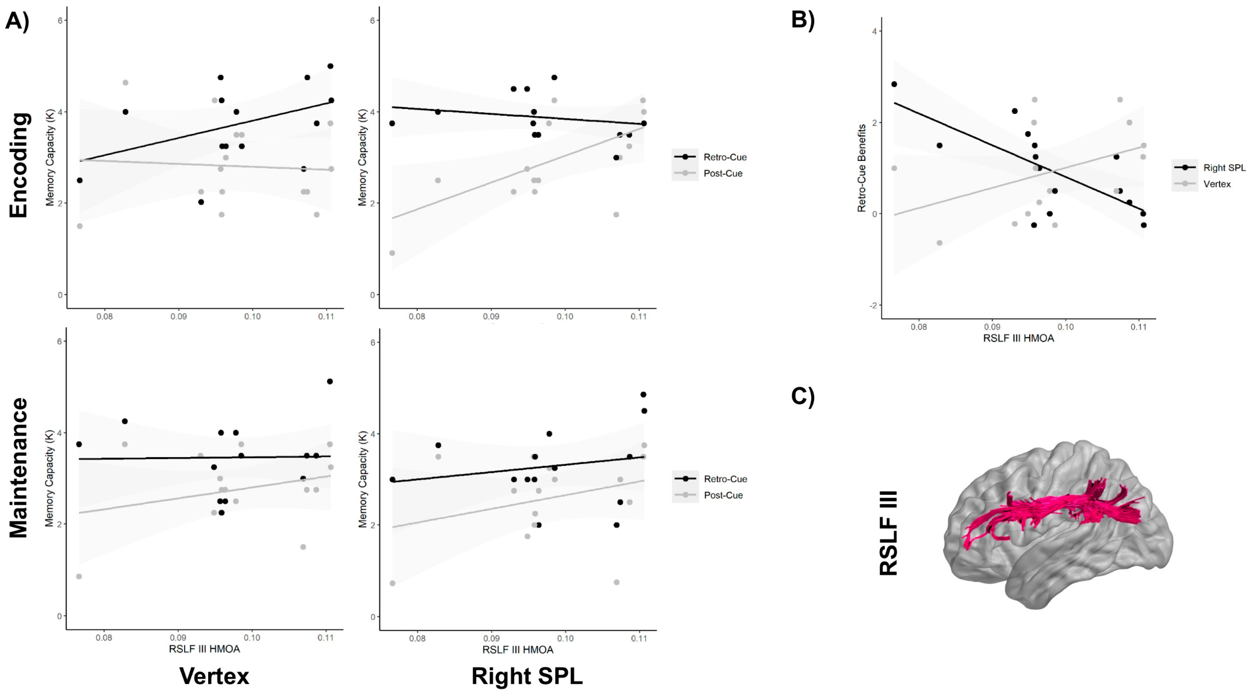 Brainsci 11 00252 g002