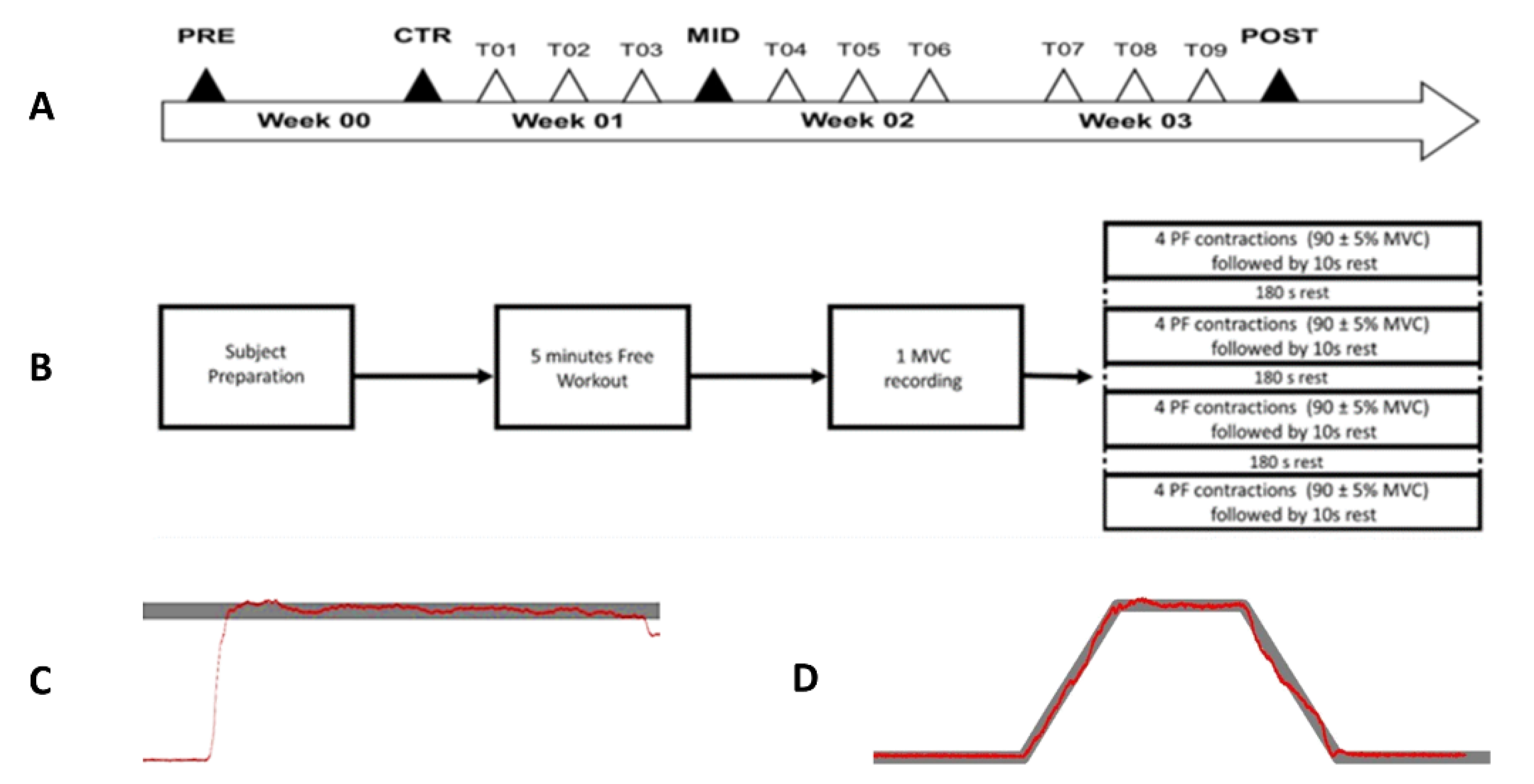 Brainsci 11 00254 g001