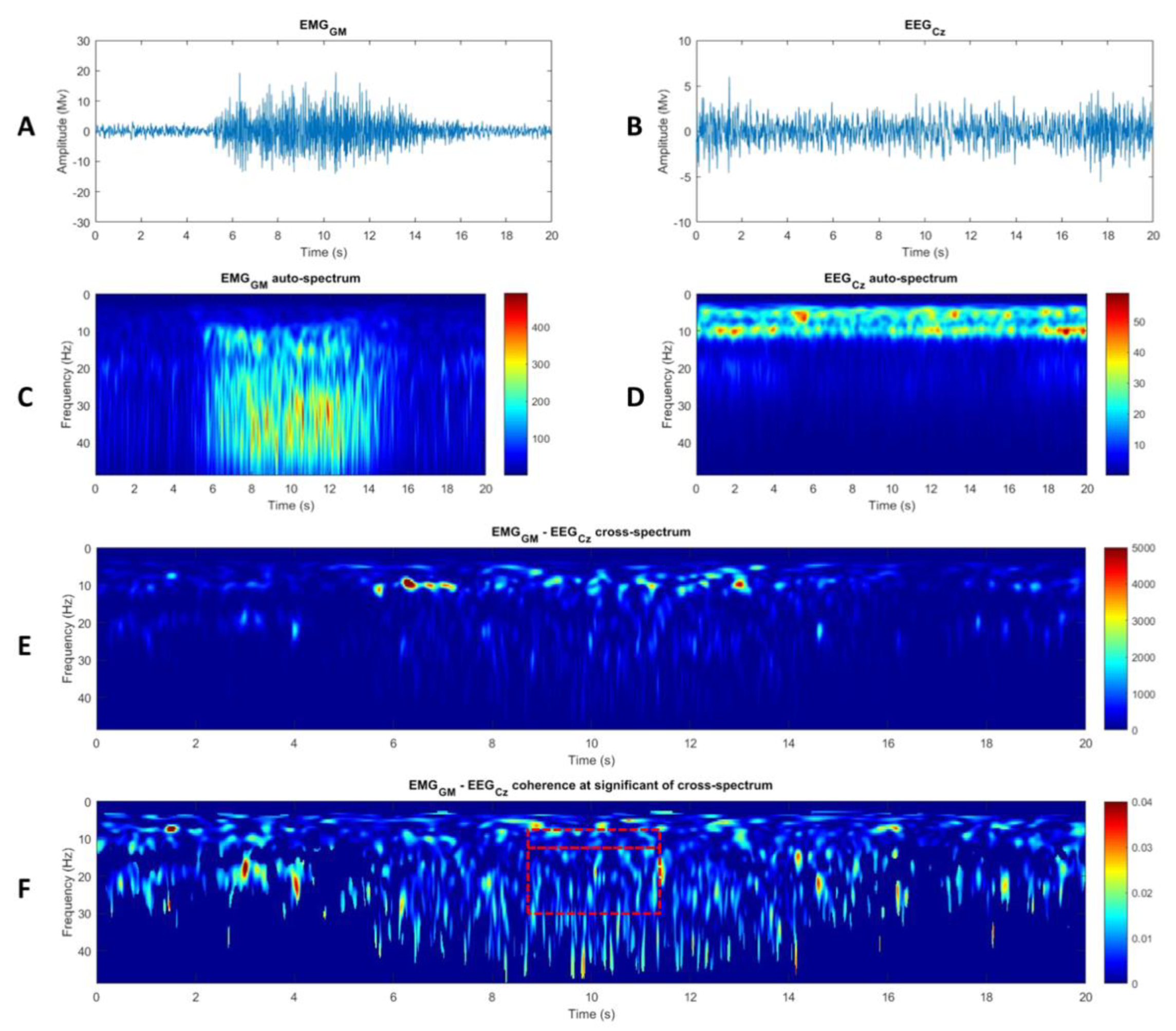Brainsci 11 00254 g002