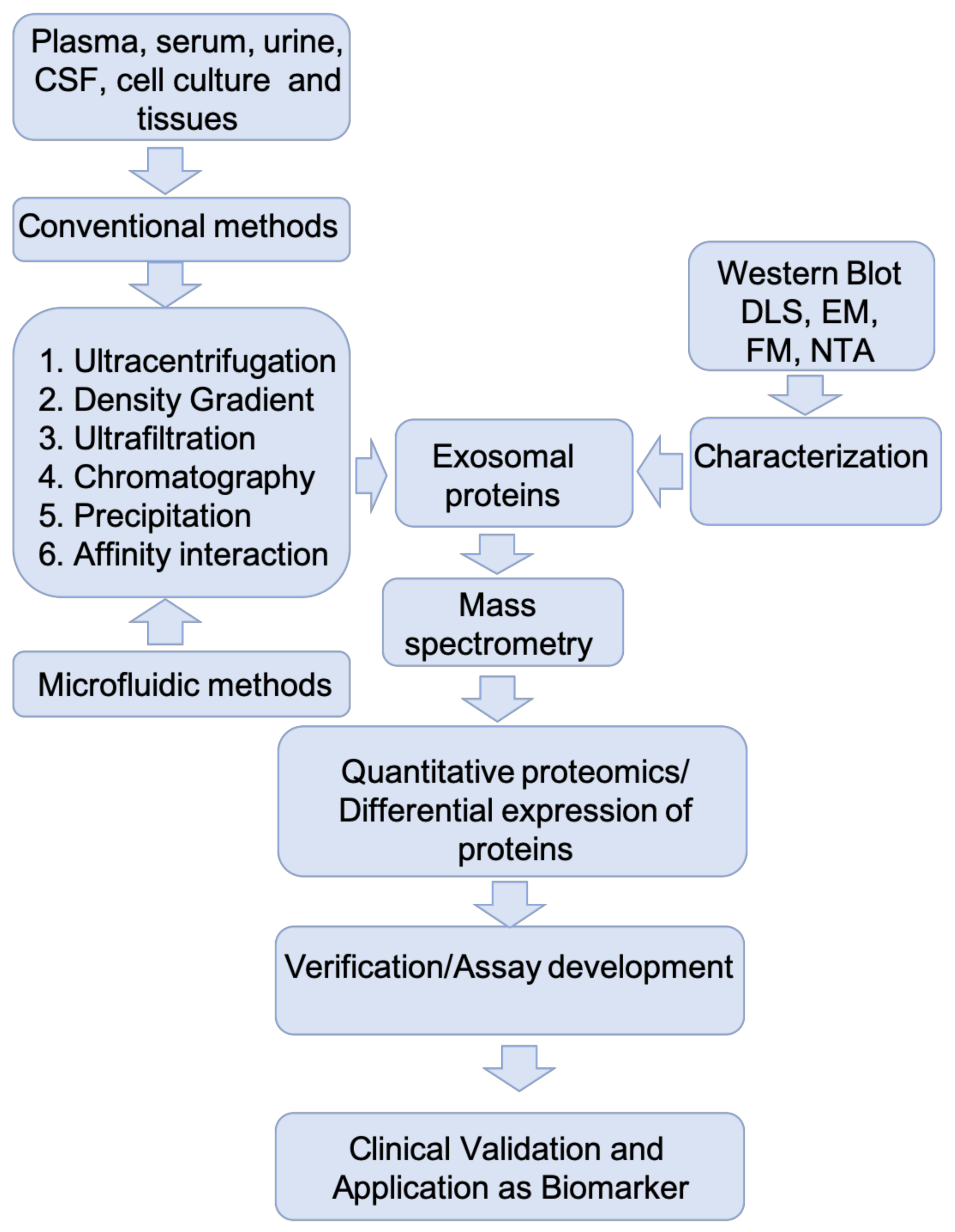 Brainsci 11 00258 g002 Brainsci 11 00258 g002