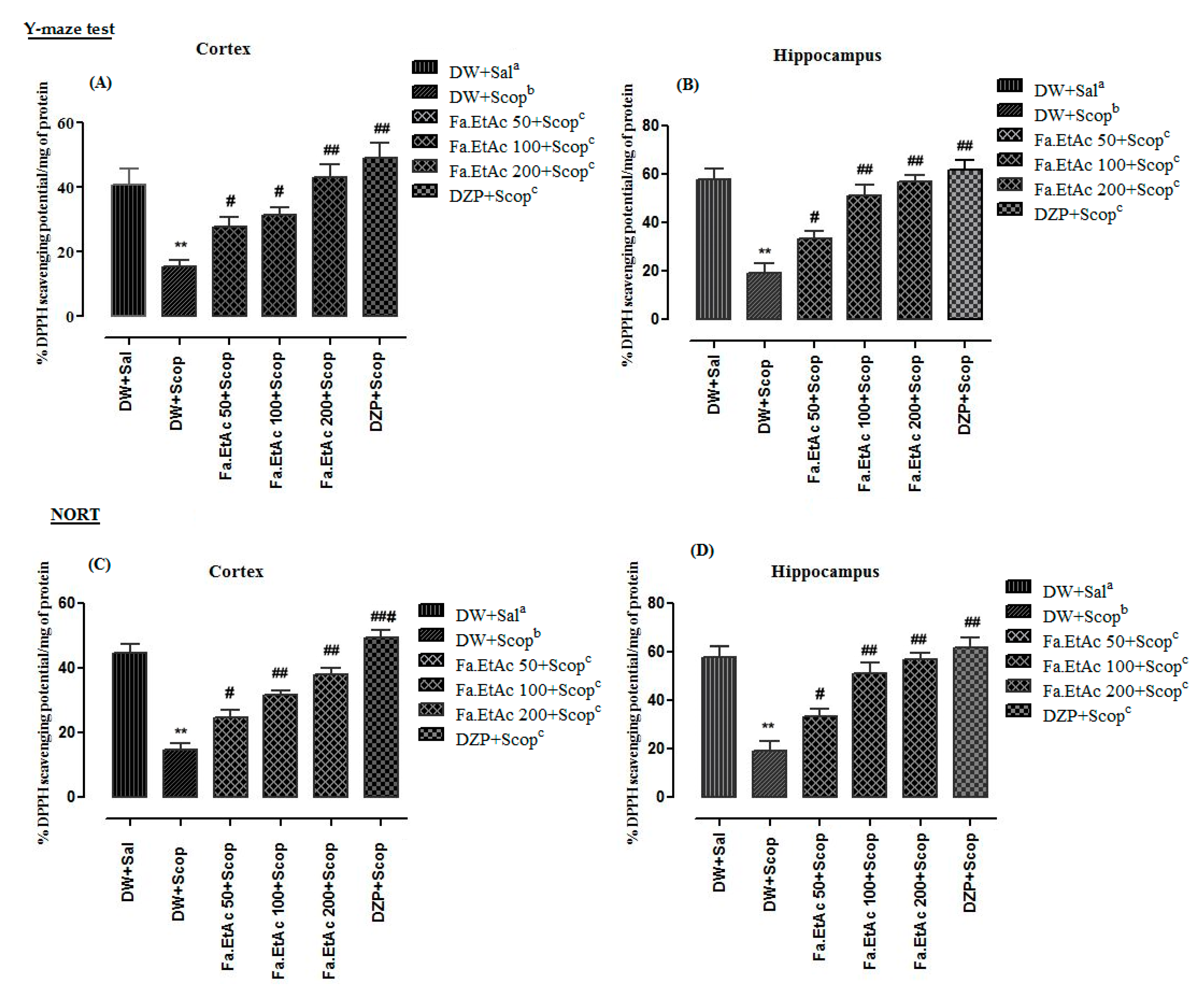 Brainsci 11 00259 g008 Brainsci 11 00259 g008