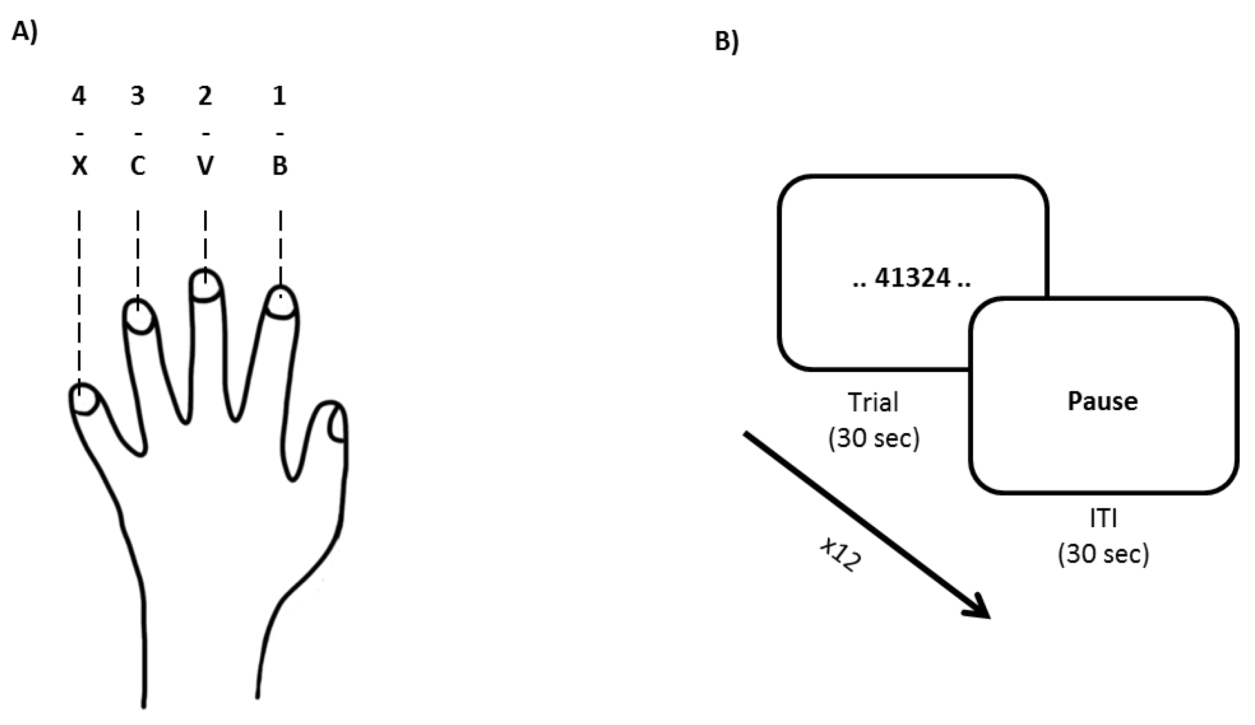Brainsci 11 00261 g002 Brainsci 11 00261 g002