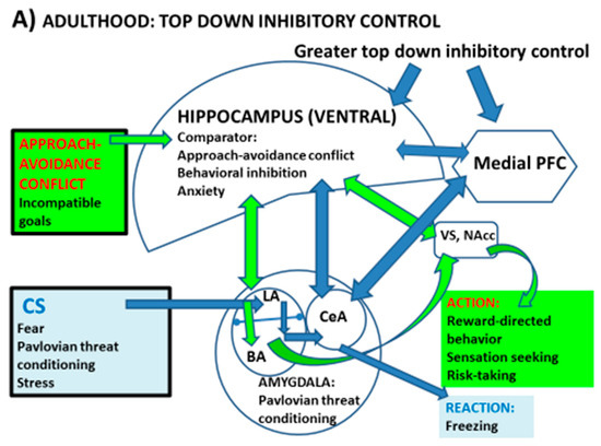 Conflict between Threat Sensitivity and Sensation Seeking in