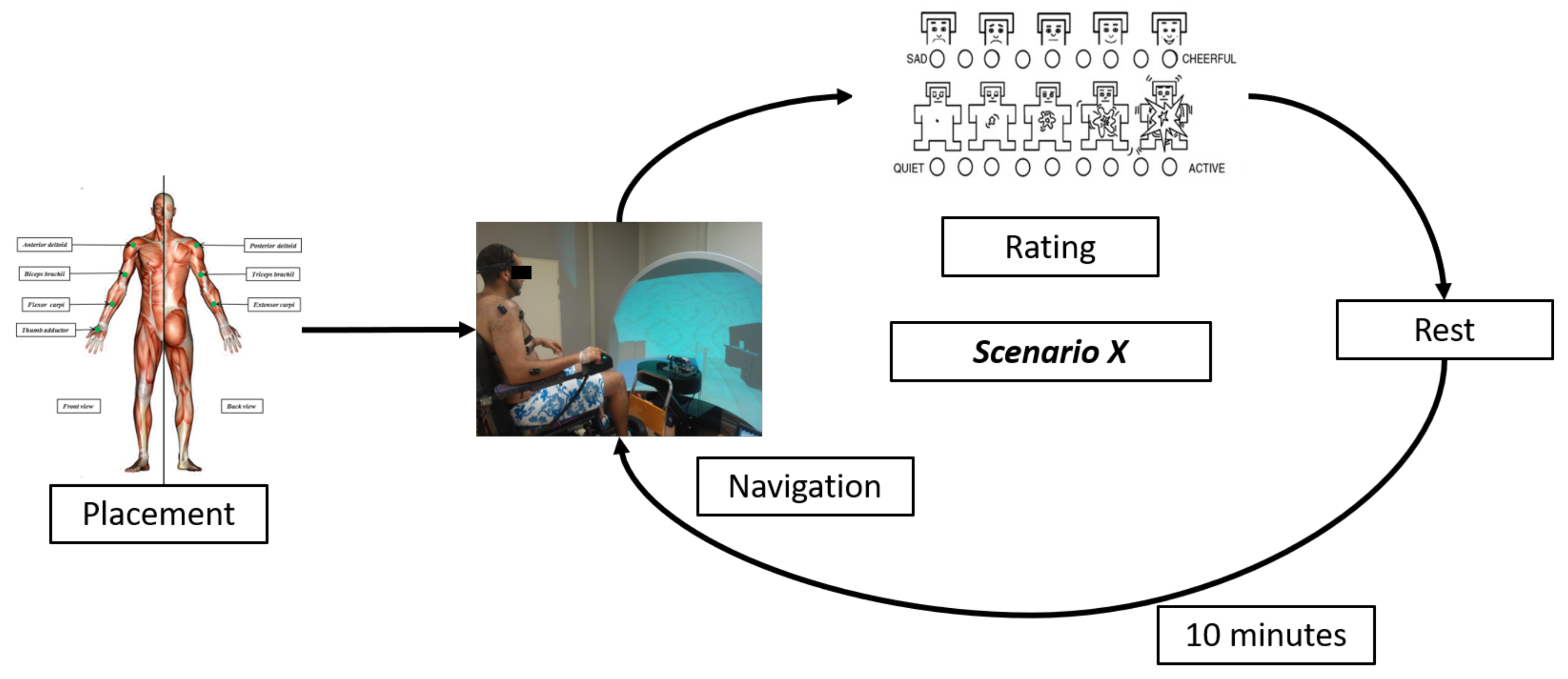 Brainsci 11 00274 g004 Brainsci 11 00274 g004