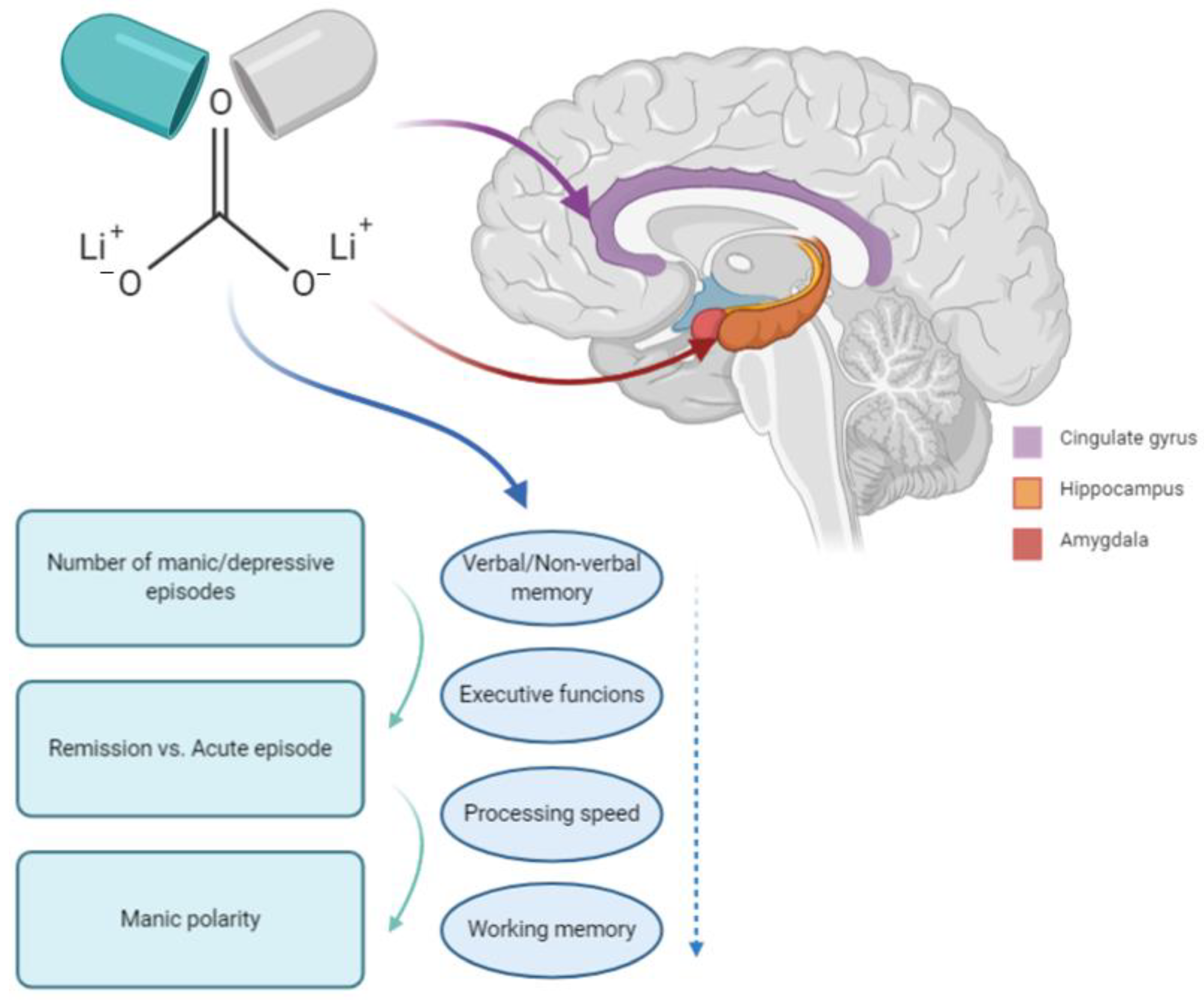 Brain aging in major depressive disorder: results from the ENIGMA