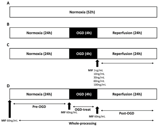 Brain Sciences, Free Full-Text