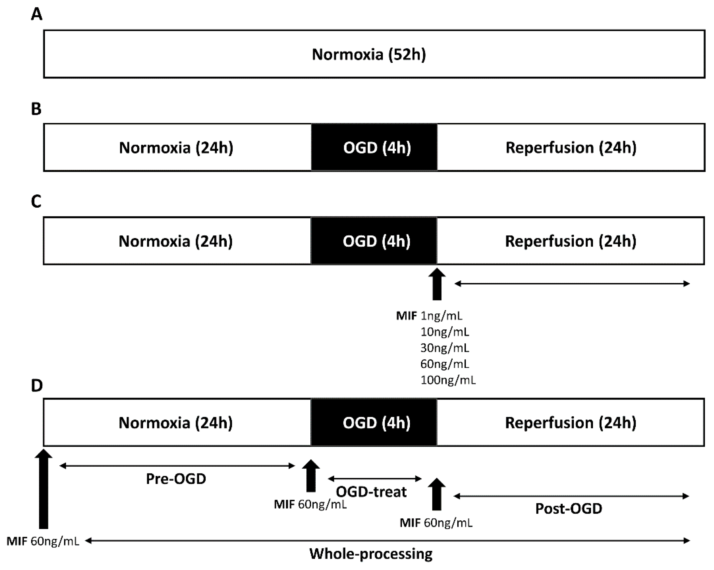Brainsci 11 00280 g001
