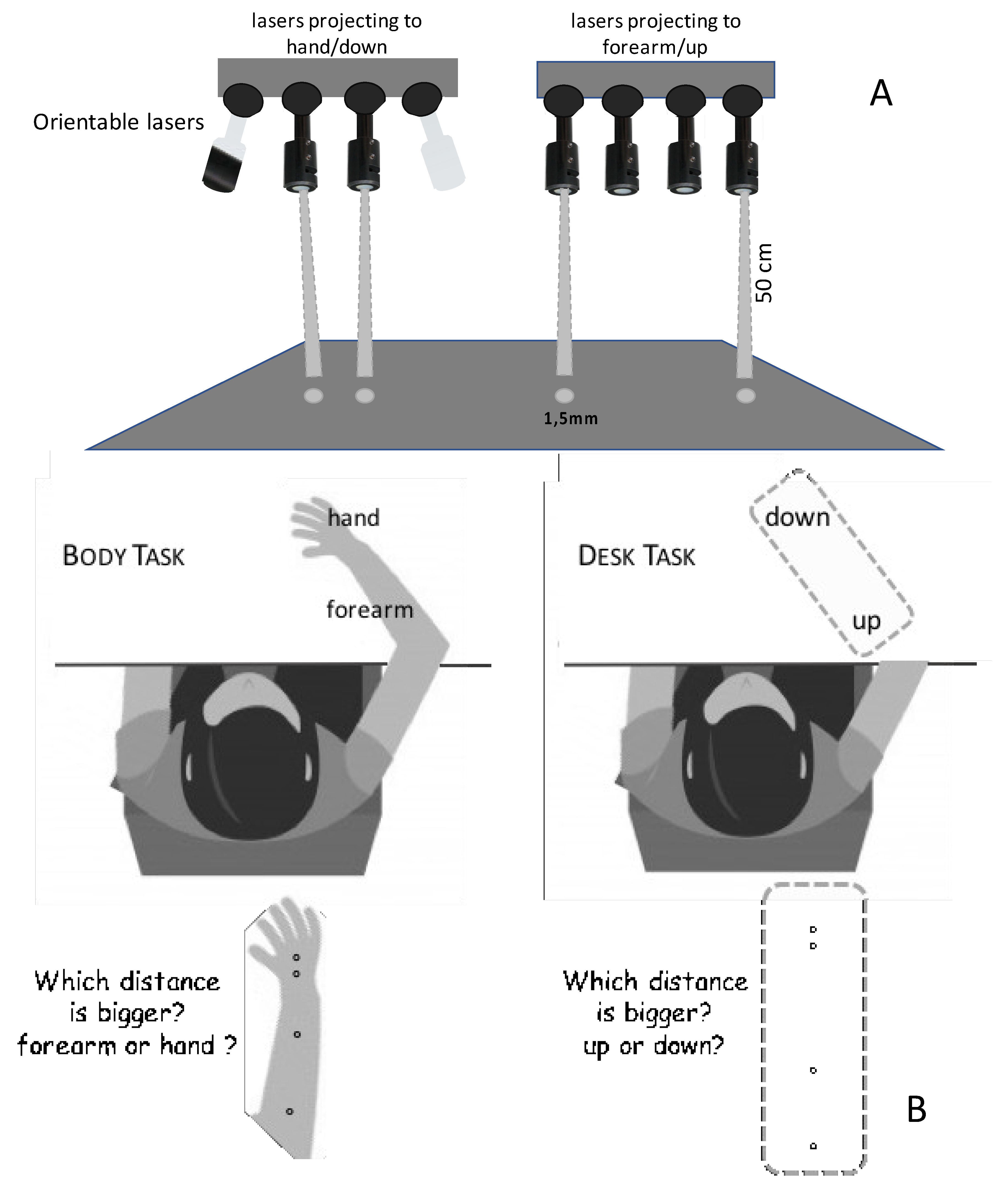 Brainsci 11 00284 g001 Brainsci 11 00284 g001