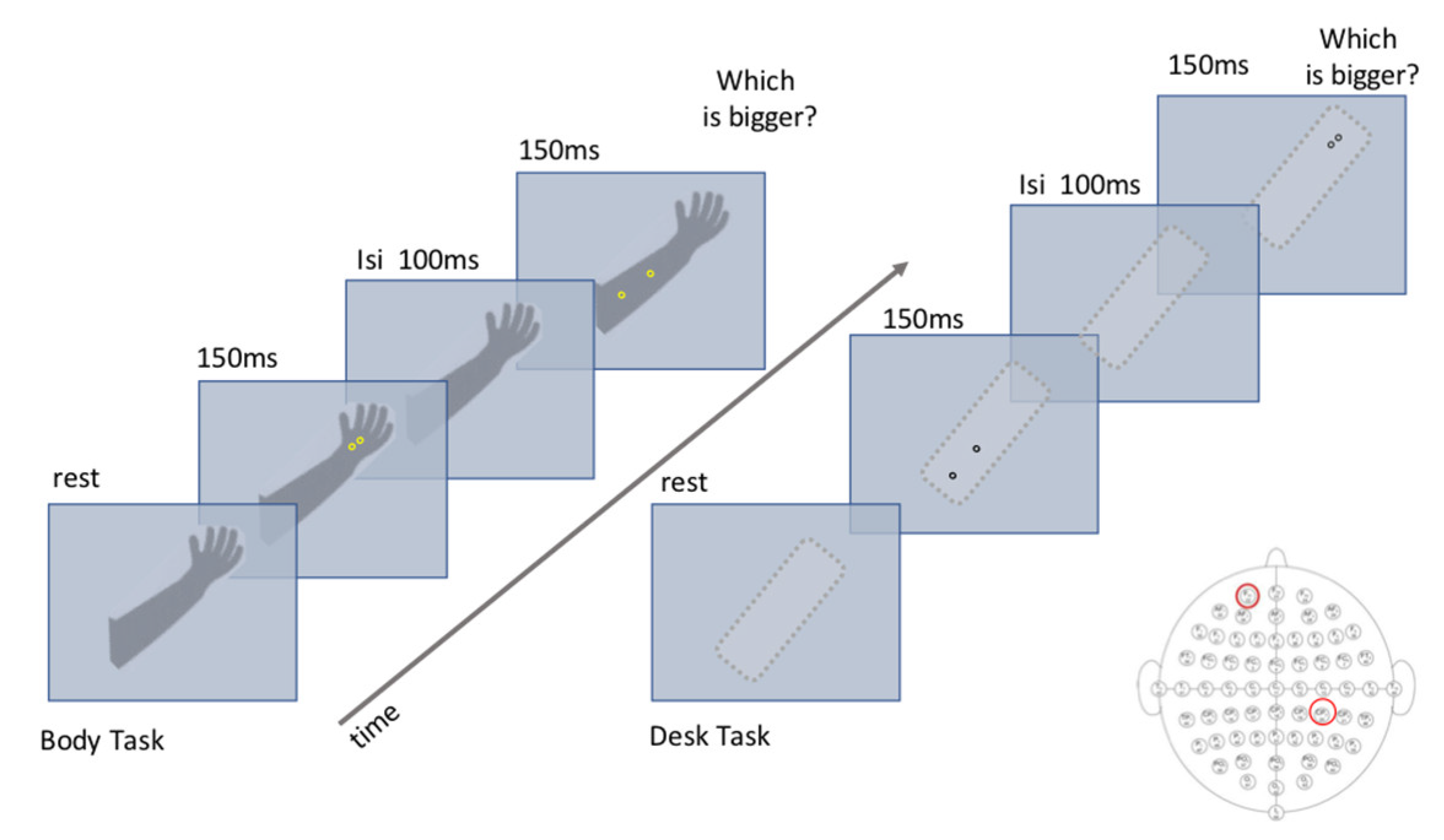 Brainsci 11 00284 g002 Brainsci 11 00284 g002
