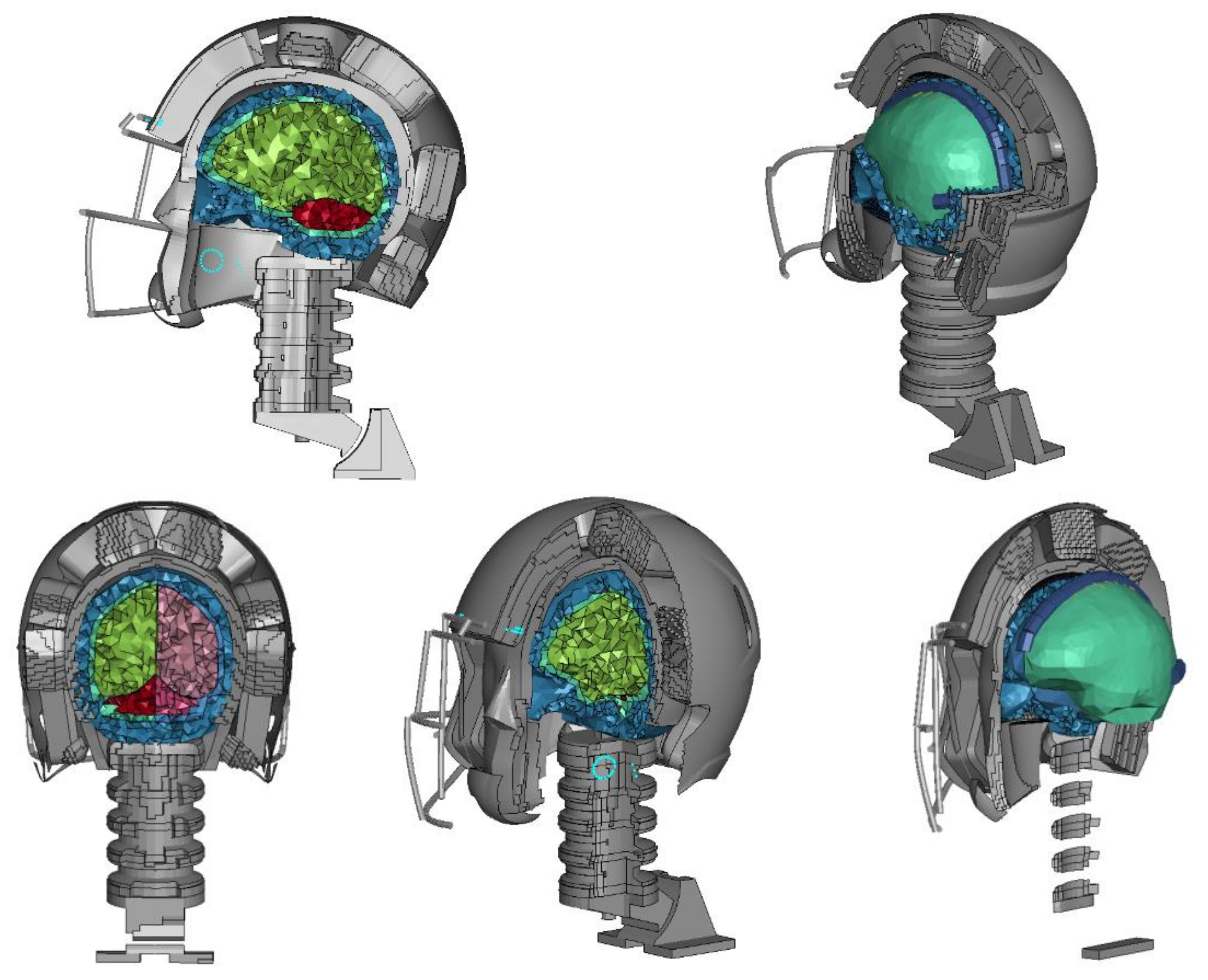 Brainsci 11 00287 g006 Brainsci 11 00287 g006