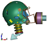 Brainsci 11 00287 i003 Brainsci 11 00287 i003