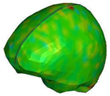 Brainsci 11 00287 i011 Brainsci 11 00287 i011