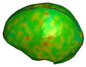 Brainsci 11 00287 i012 Brainsci 11 00287 i012