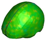 Brainsci 11 00287 i015 Brainsci 11 00287 i015