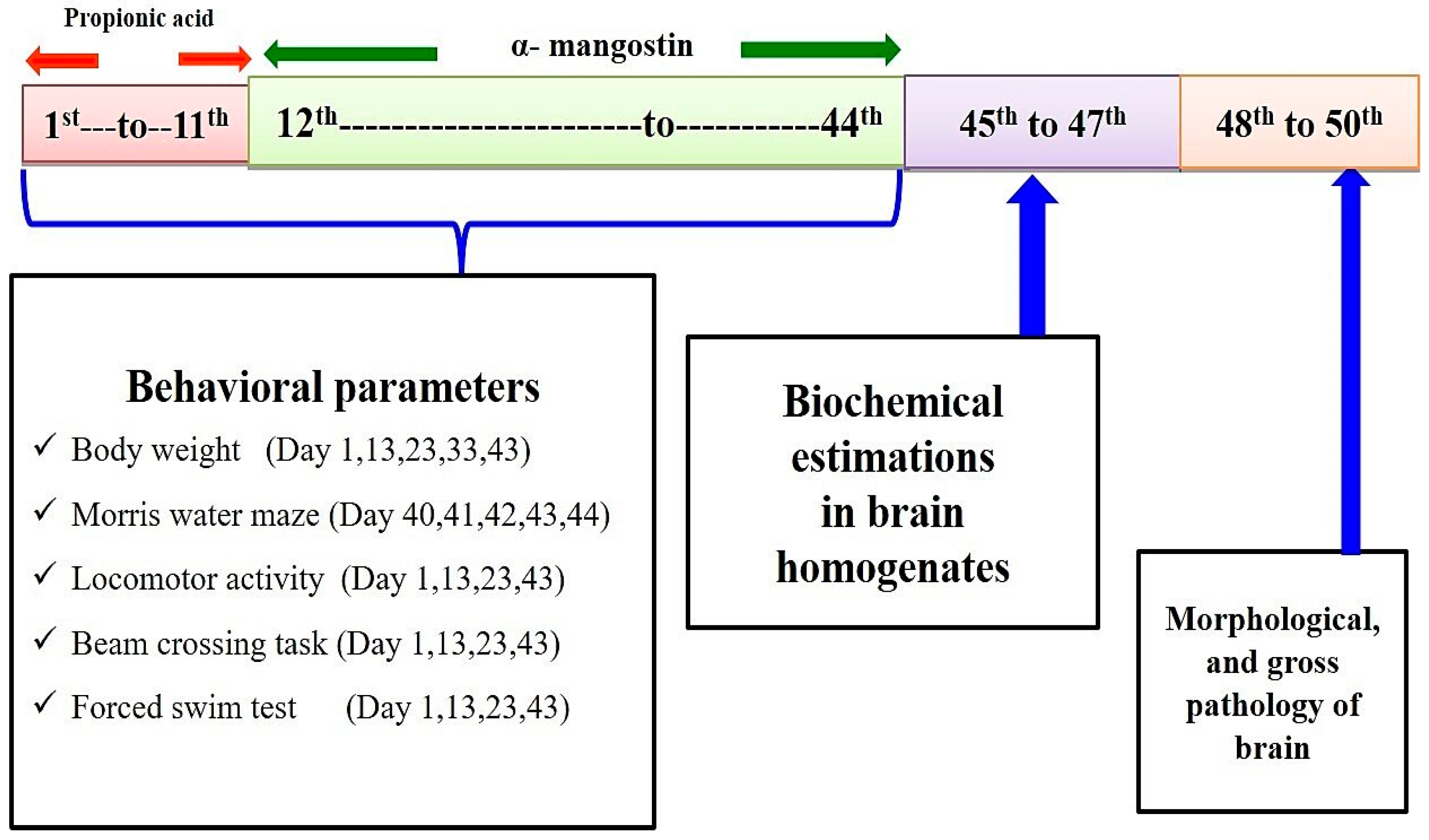 Brainsci 11 00288 g001 Brainsci 11 00288 g001