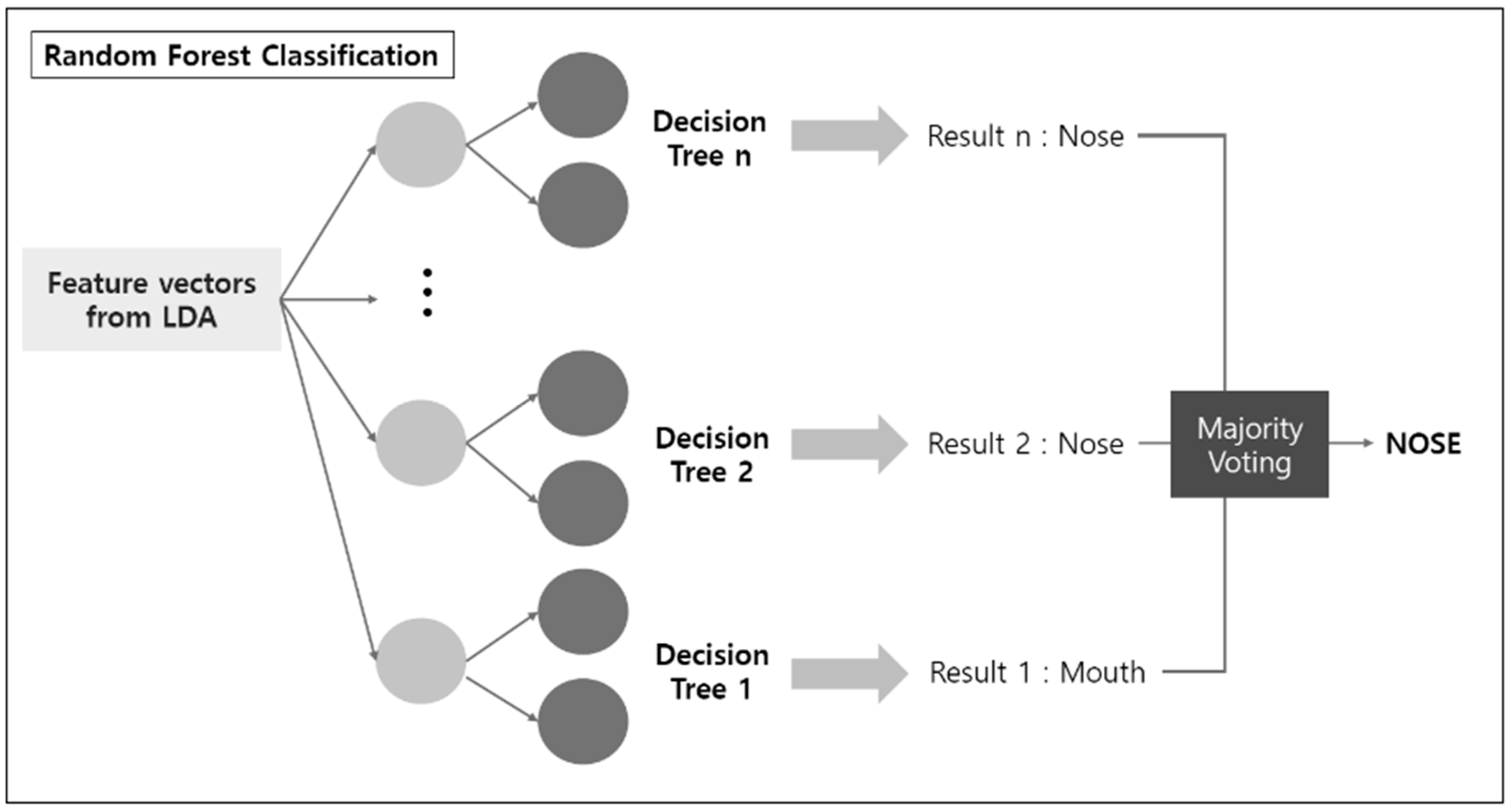 Brainsci 11 00293 g004 Brainsci 11 00293 g004