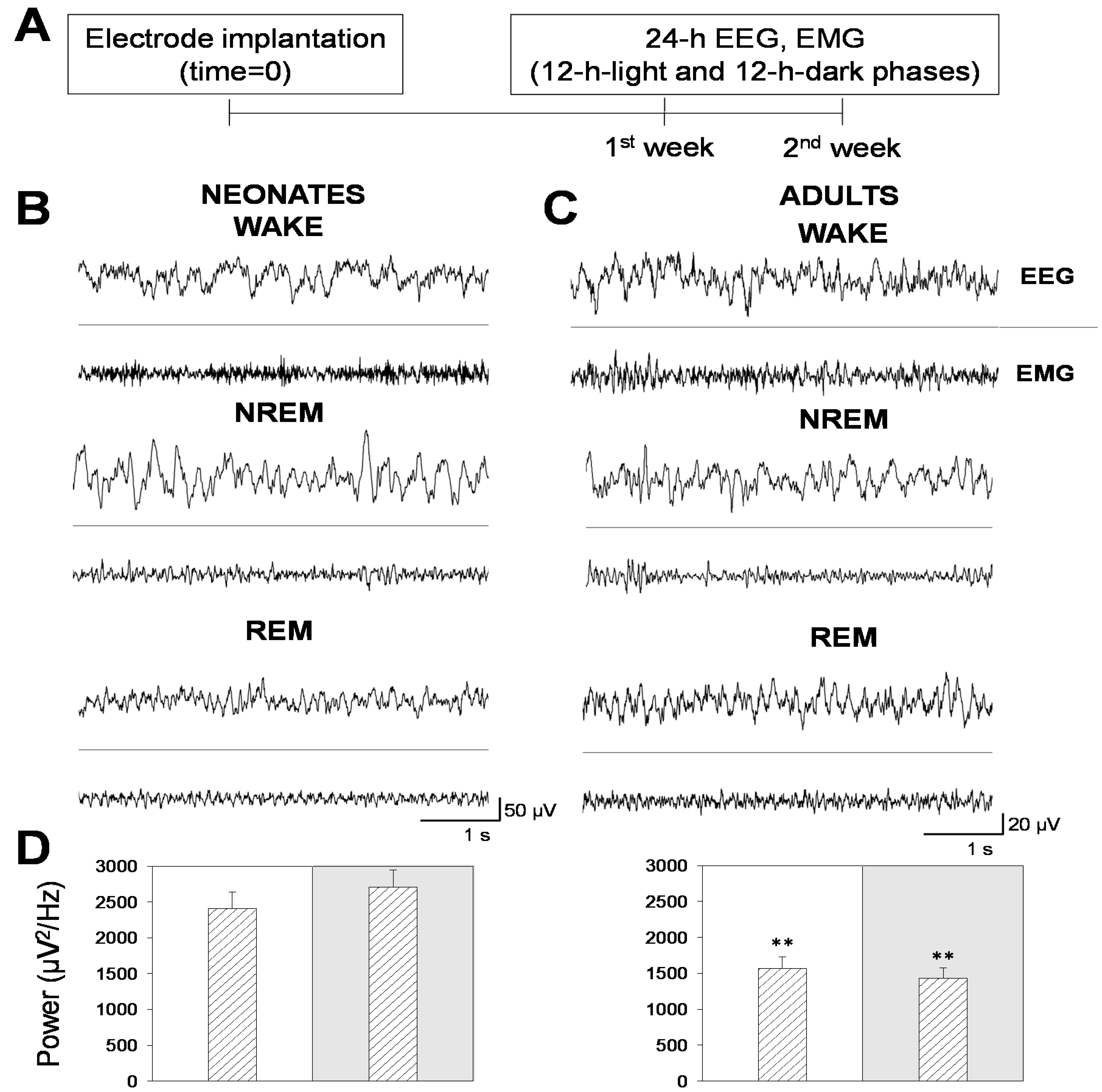 Brainsci 11 00298 g001