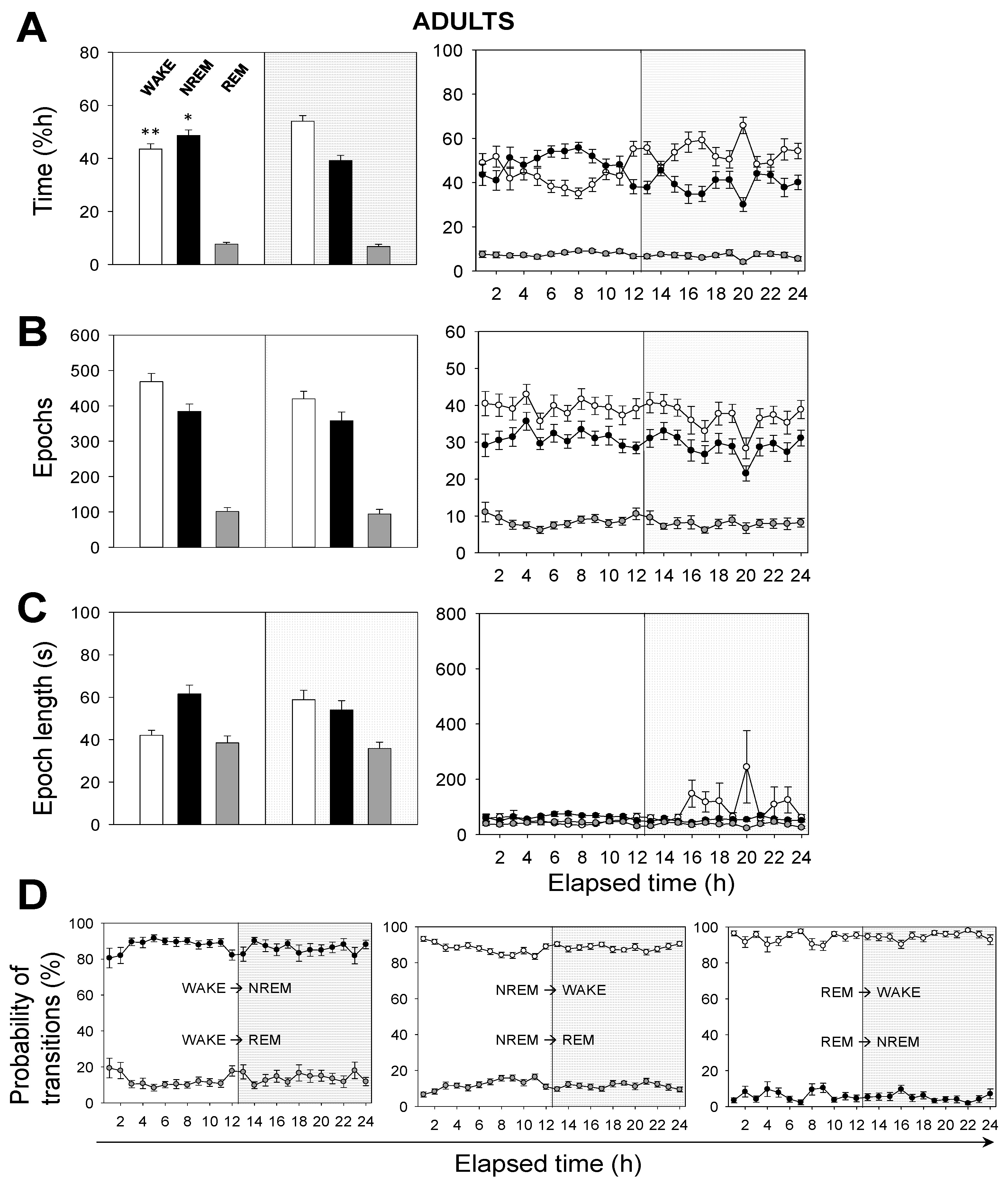 Brainsci 11 00298 g003