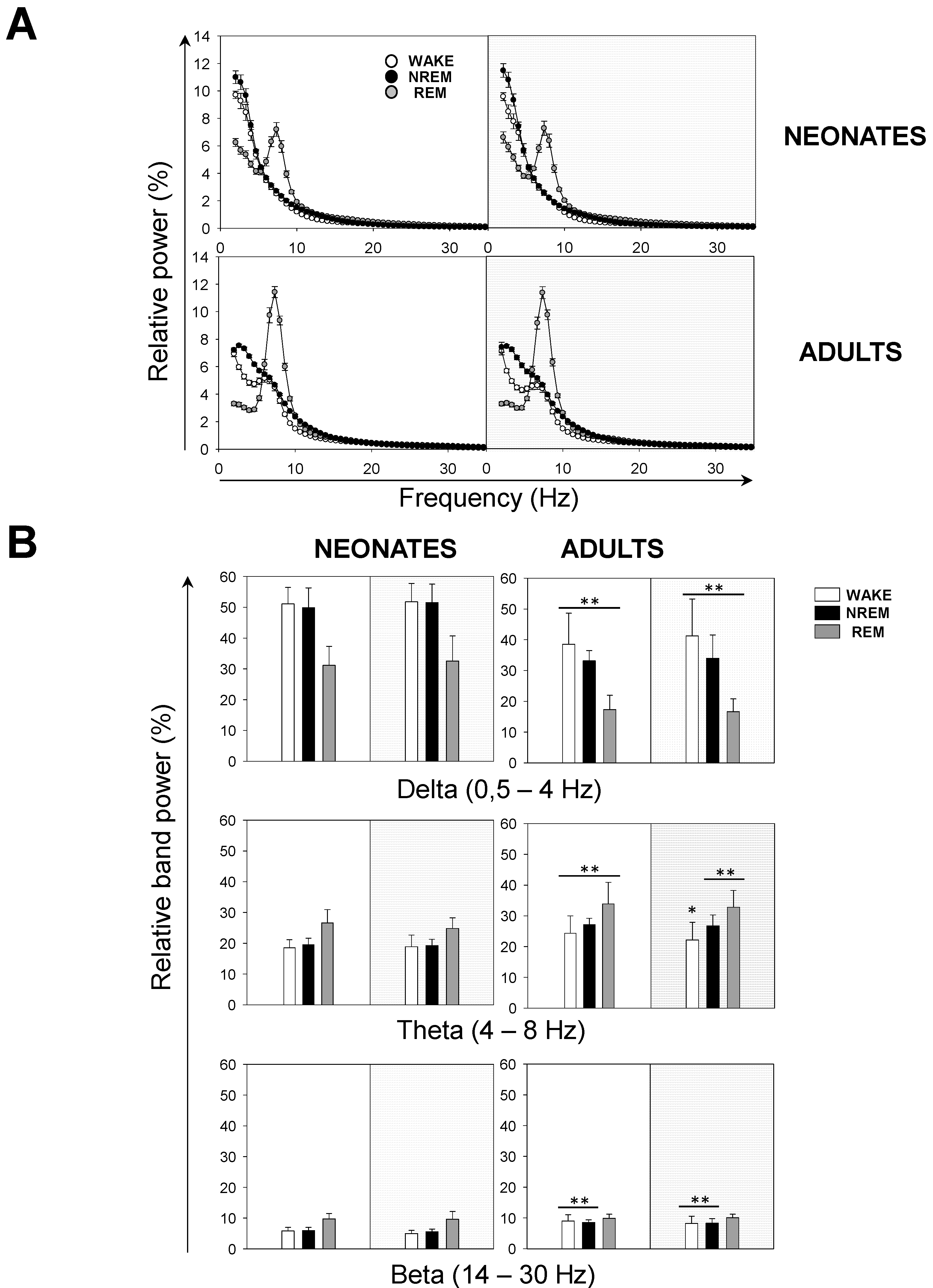 Brainsci 11 00298 g004