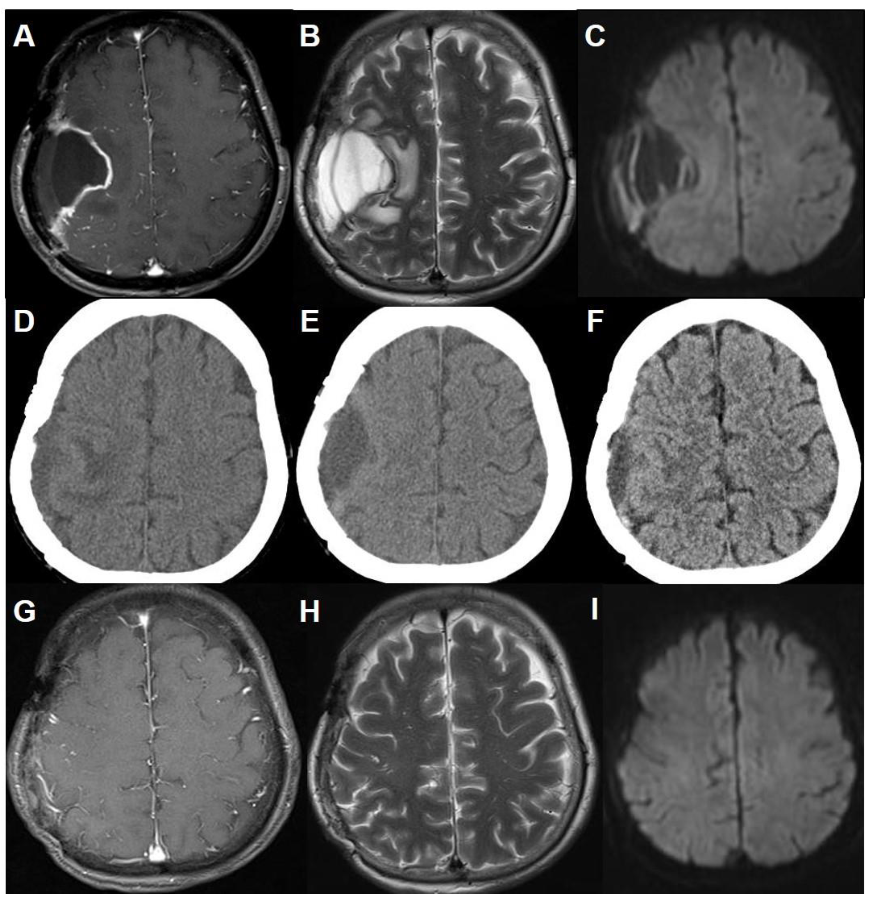 Brainsci 11 00299 g002