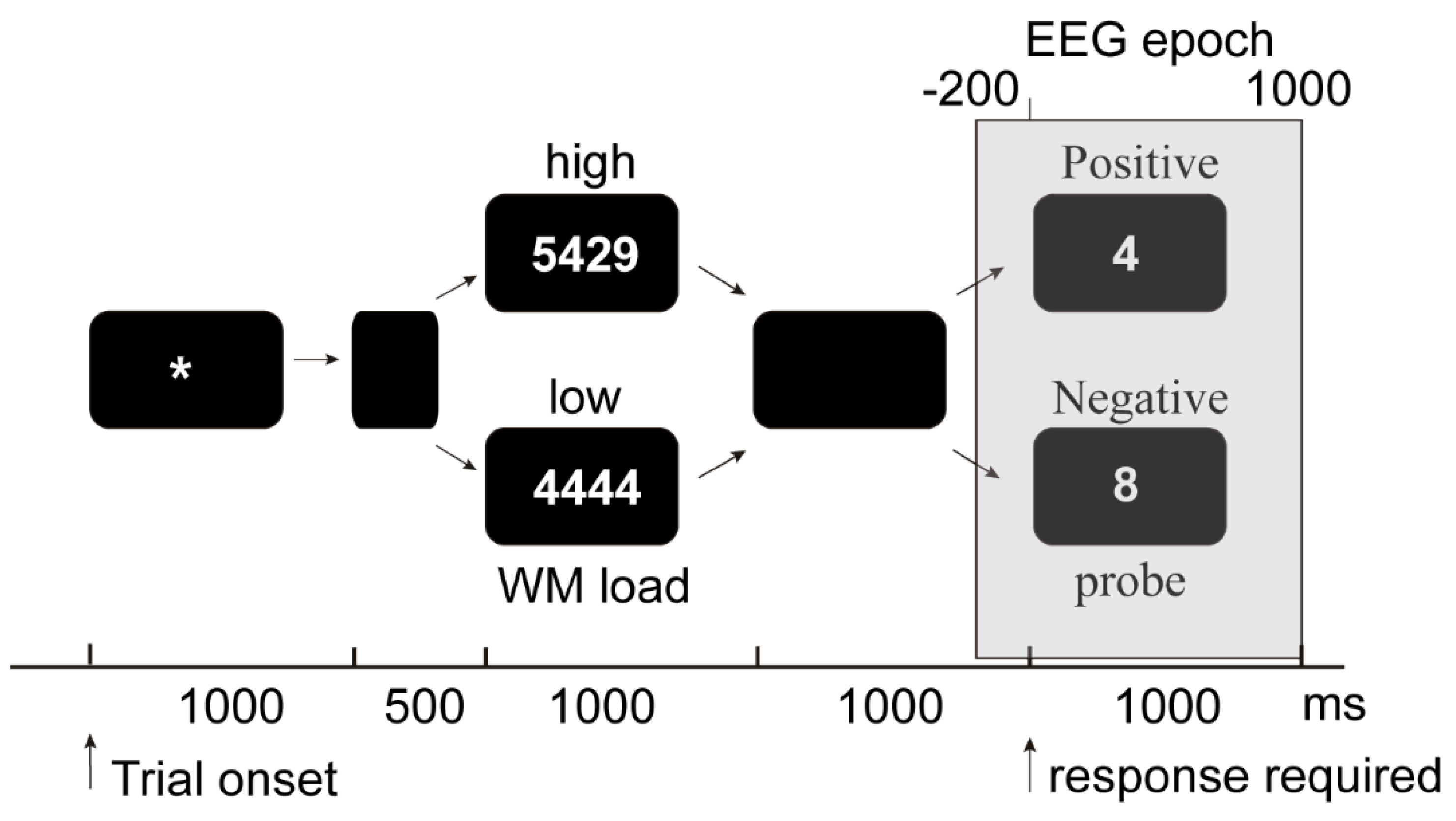 Brainsci 11 00308 g001