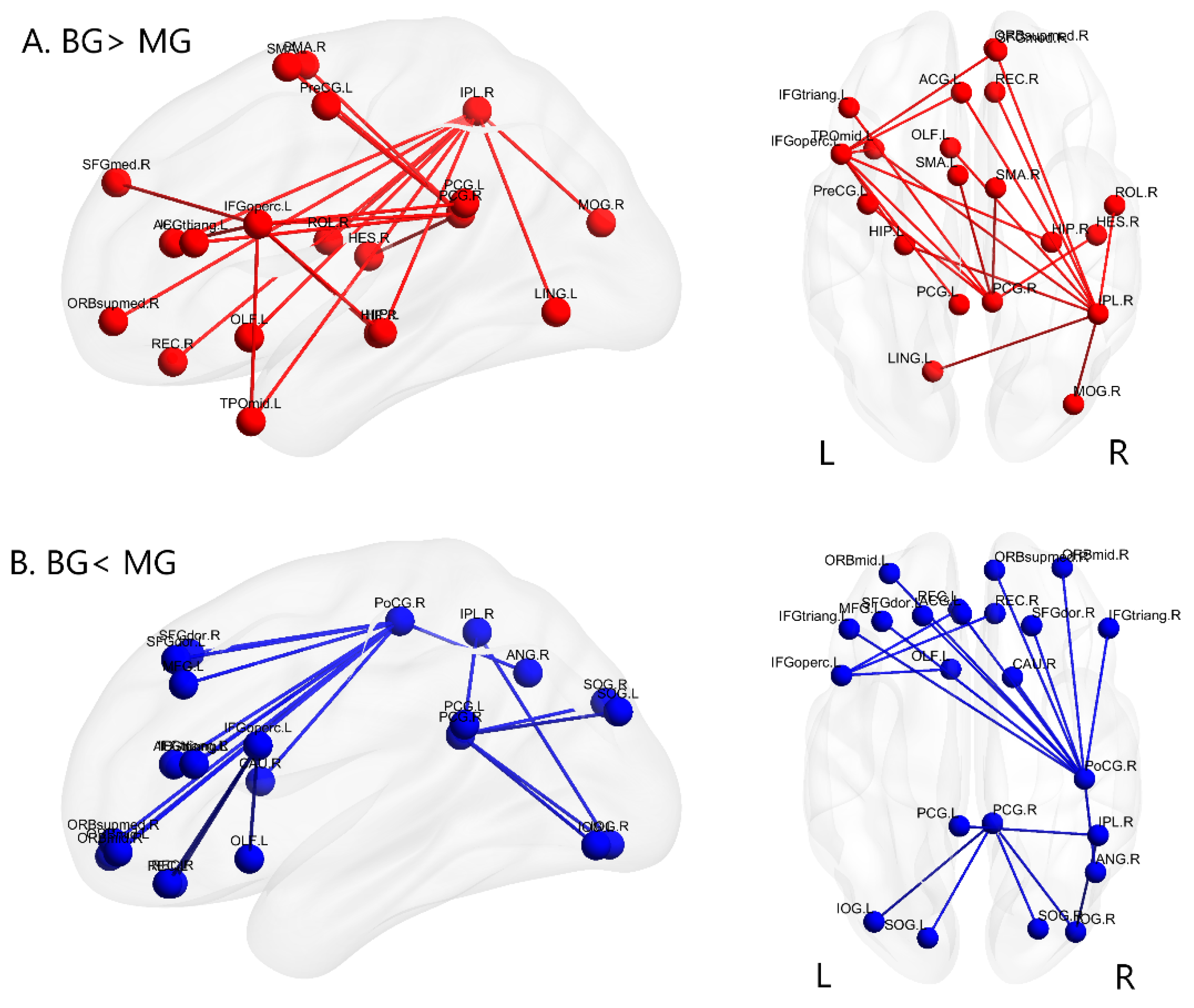 Brainsci 11 00310 g001 Brainsci 11 00310 g001