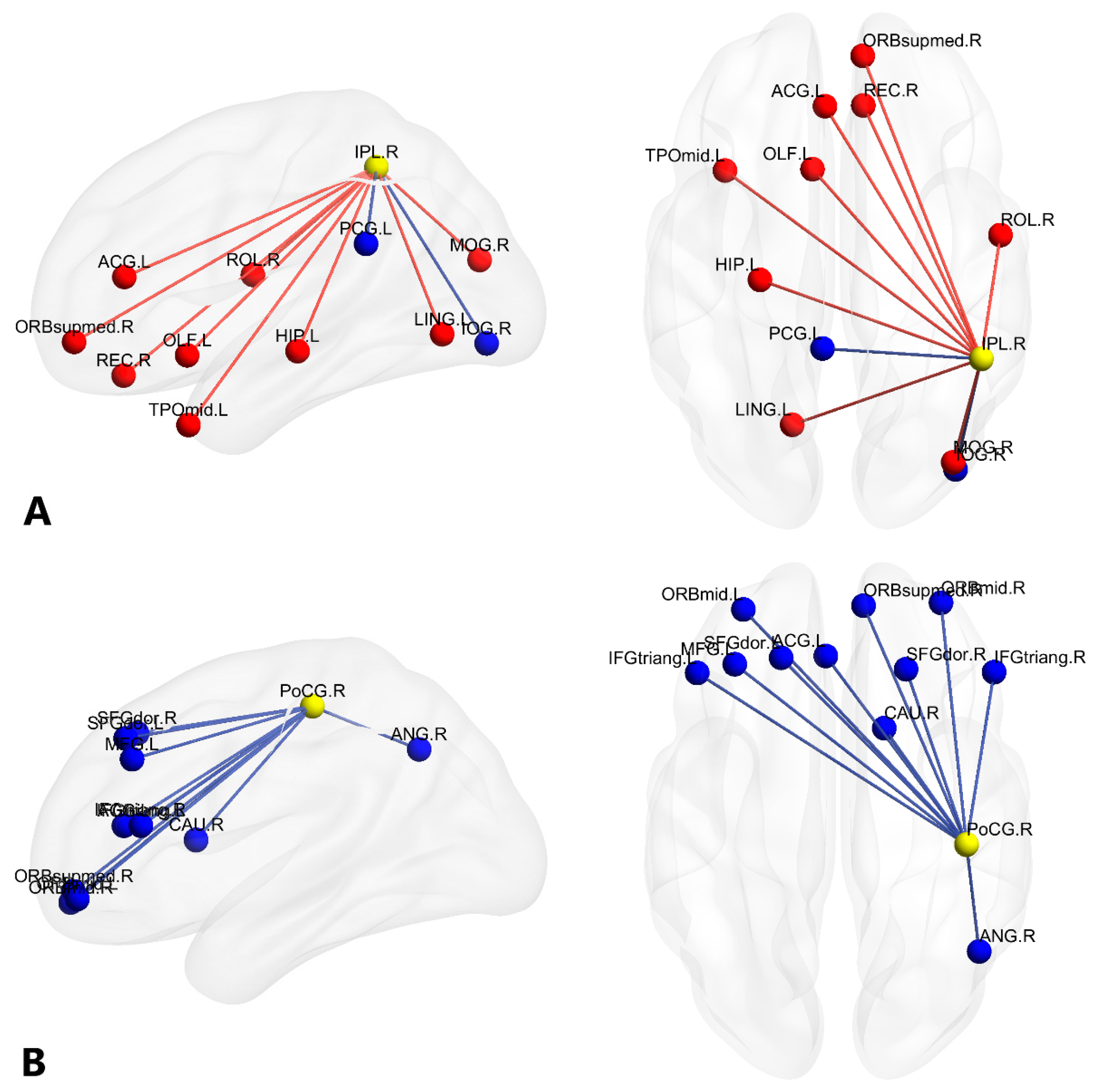 The Differences in the Whole-Brain Functional Network