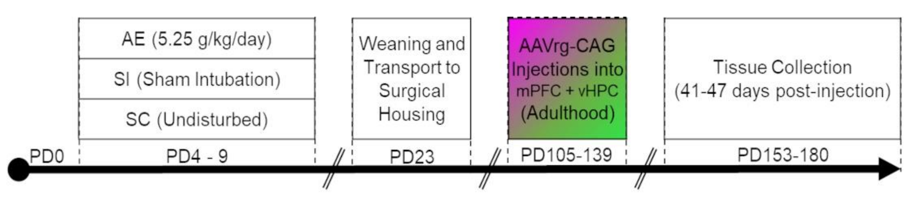 Brainsci 11 00323 g001 Brainsci 11 00323 g001