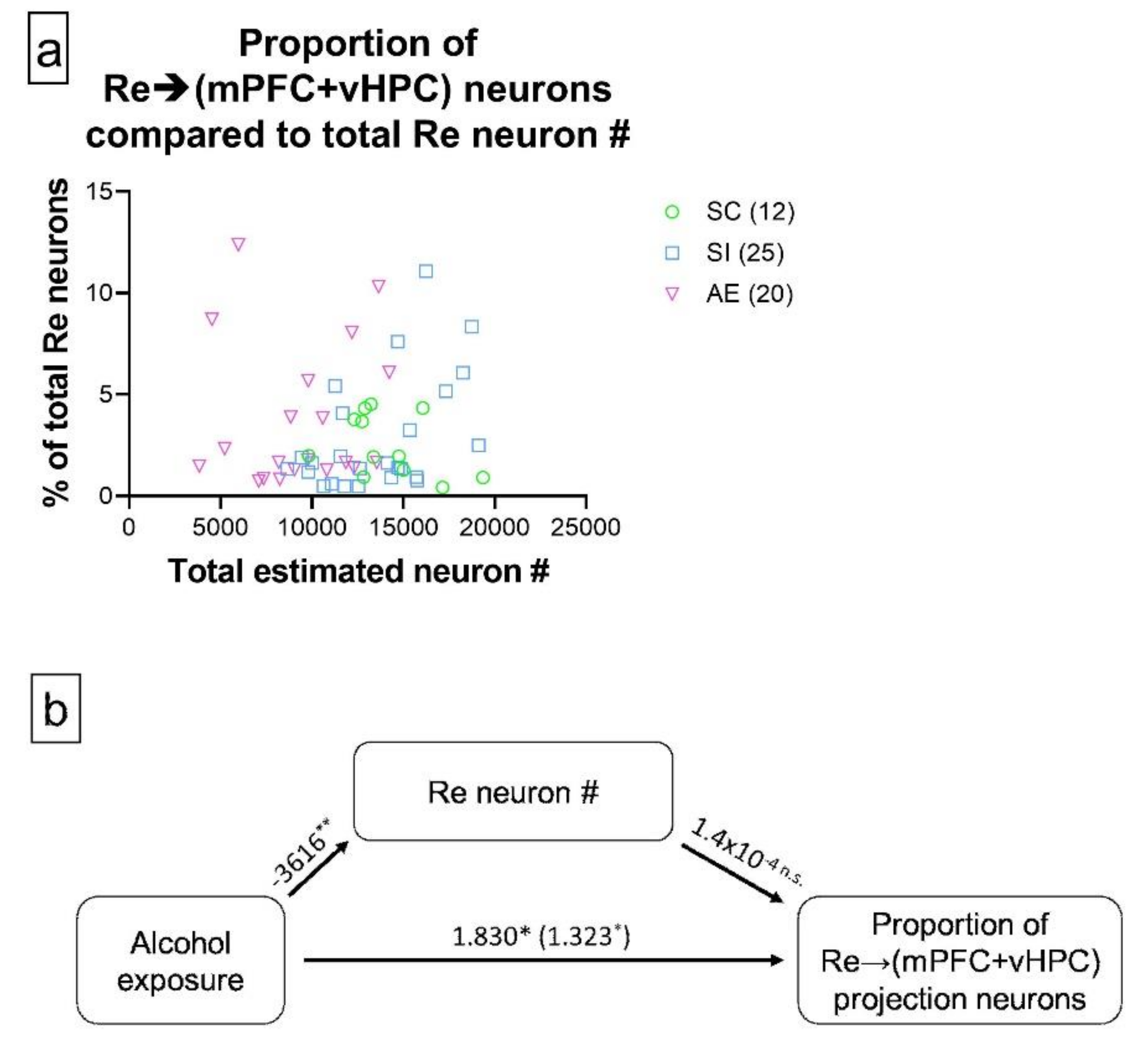 Brainsci 11 00323 g005 Brainsci 11 00323 g005
