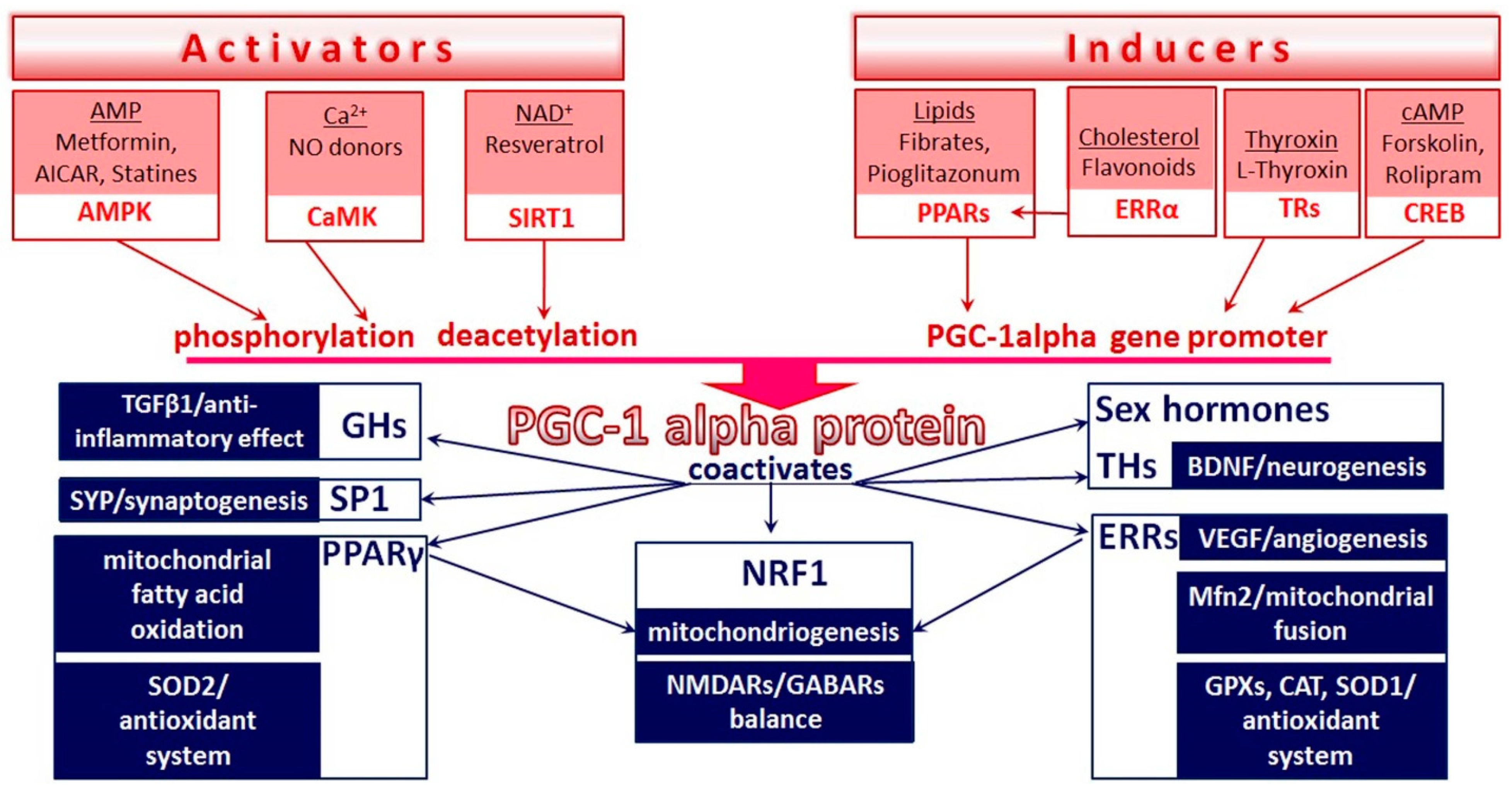 Brainsci 11 00325 g001