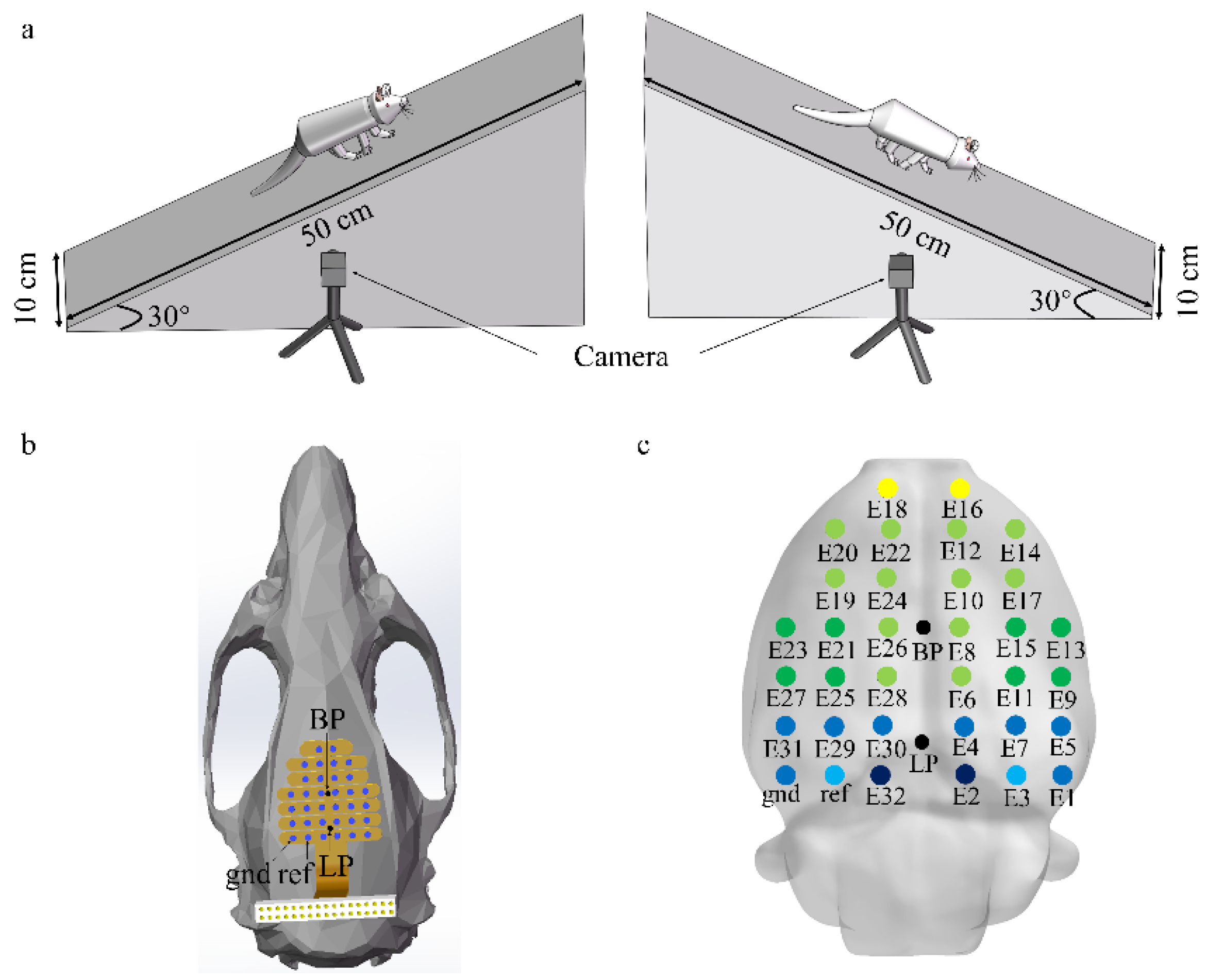 rat detection camera