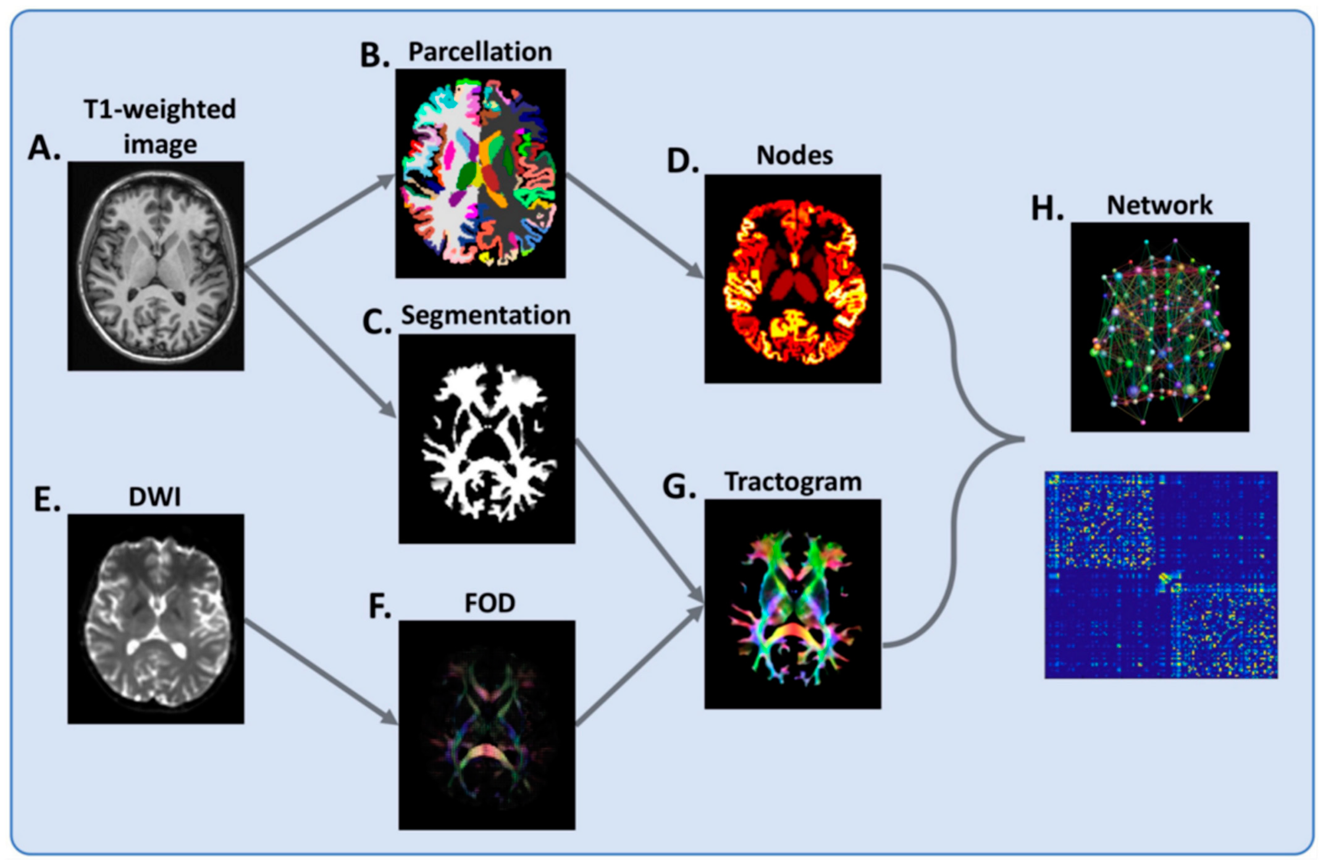 Brainsci 11 00346 g003 Brainsci 11 00346 g003