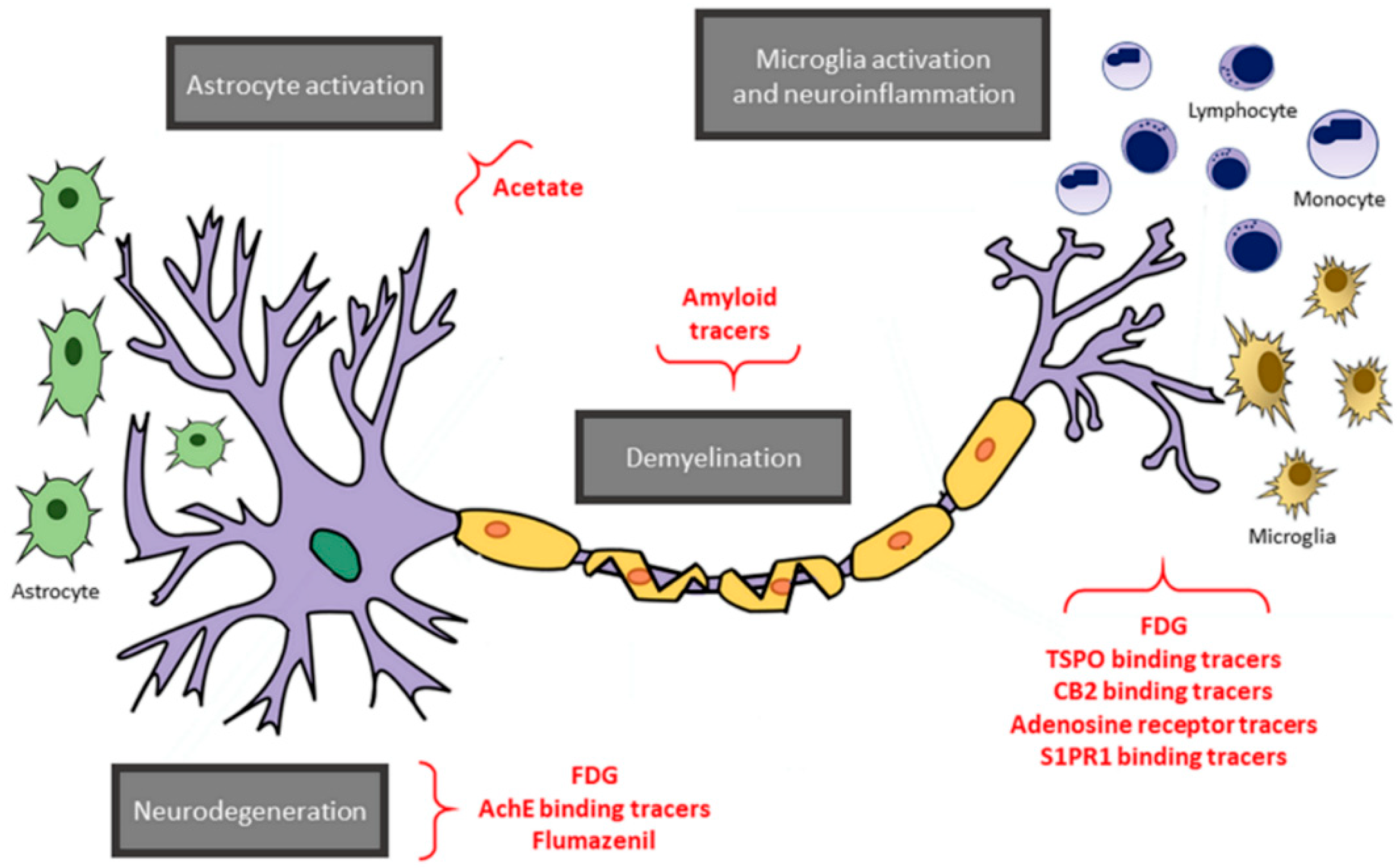 Brainsci 11 00346 g005 Brainsci 11 00346 g005