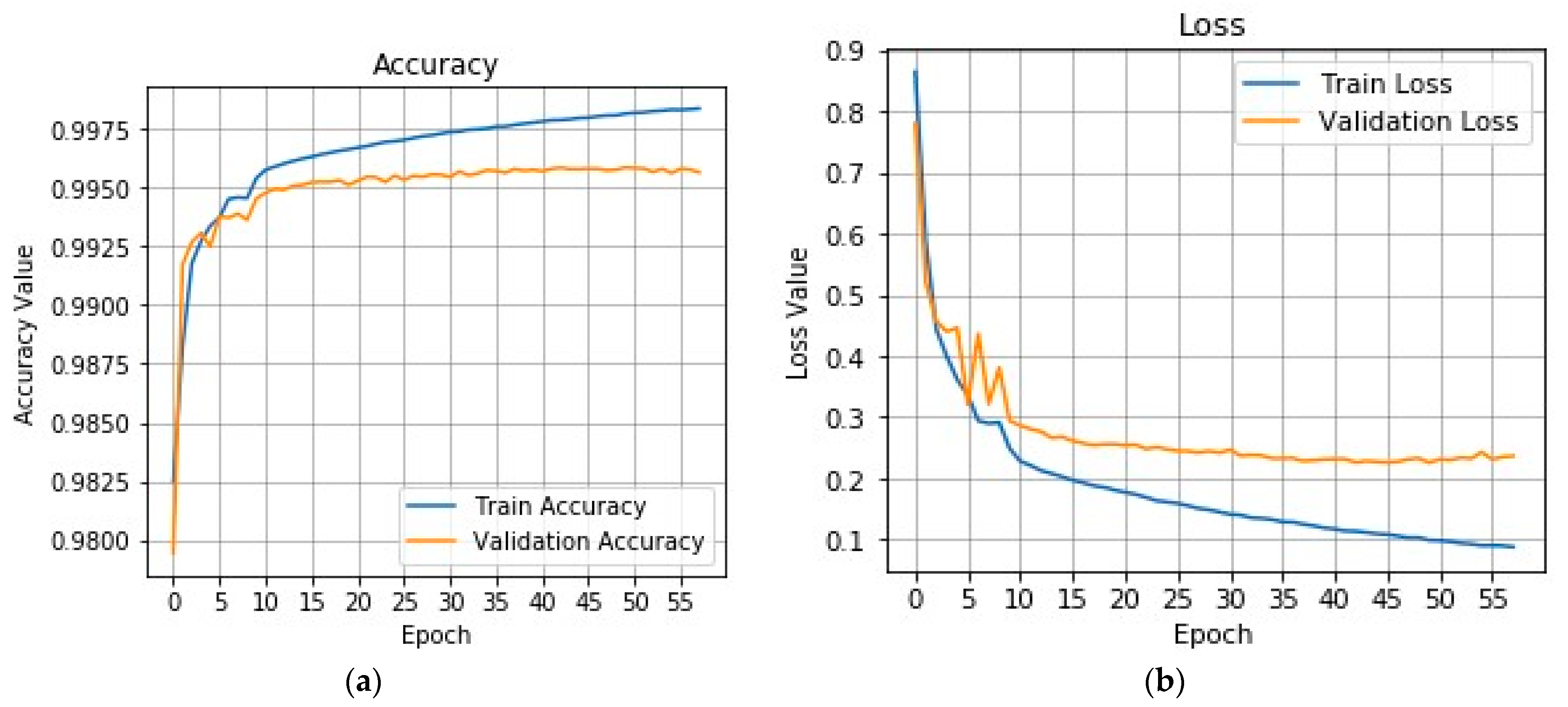 Brainsci 11 00352 g003 Brainsci 11 00352 g003