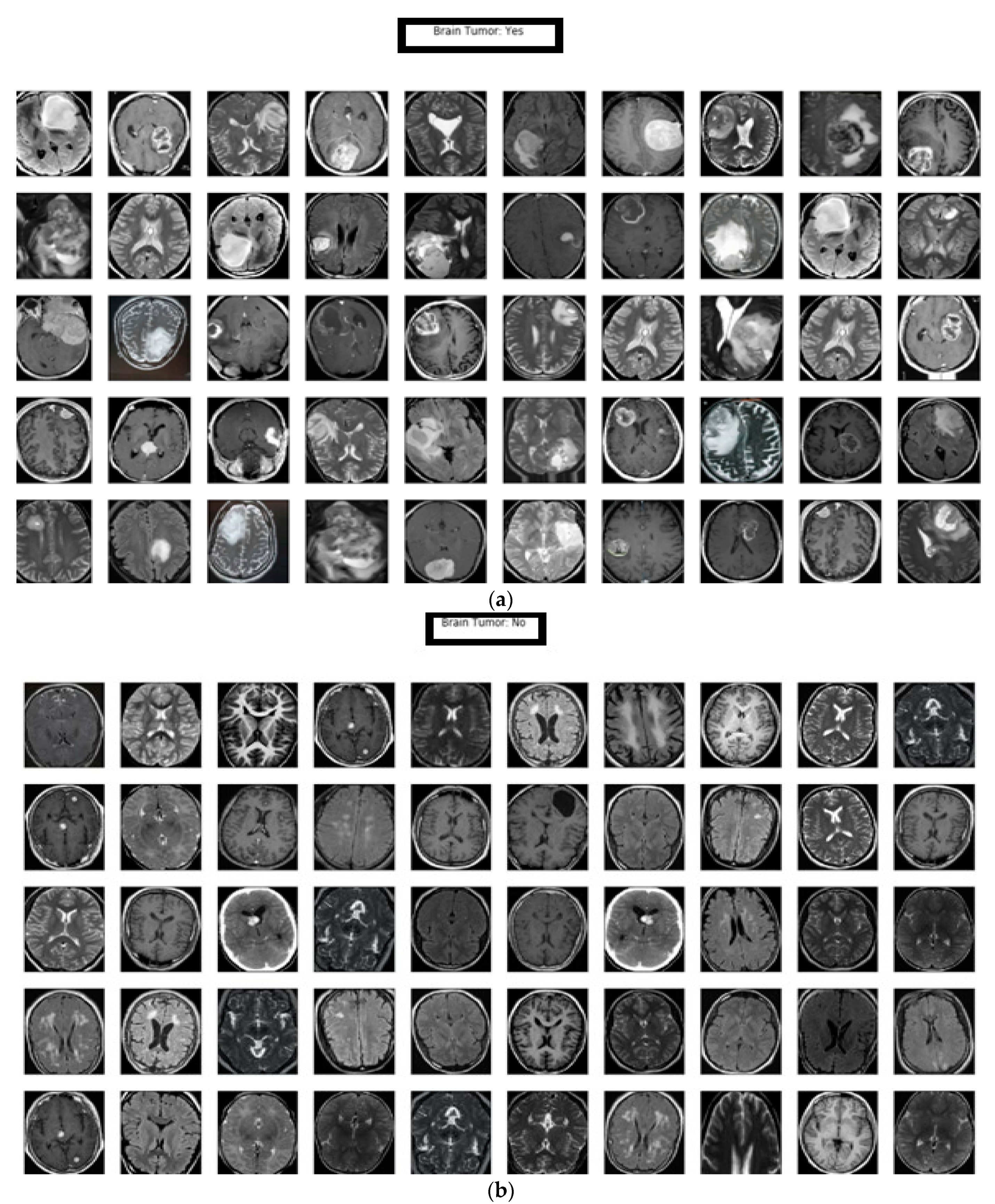 Brainsci 11 00352 g004 Brainsci 11 00352 g004